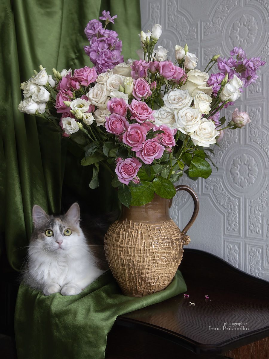 натюрморт, букет, цветы, кошка, Приходько Ирина