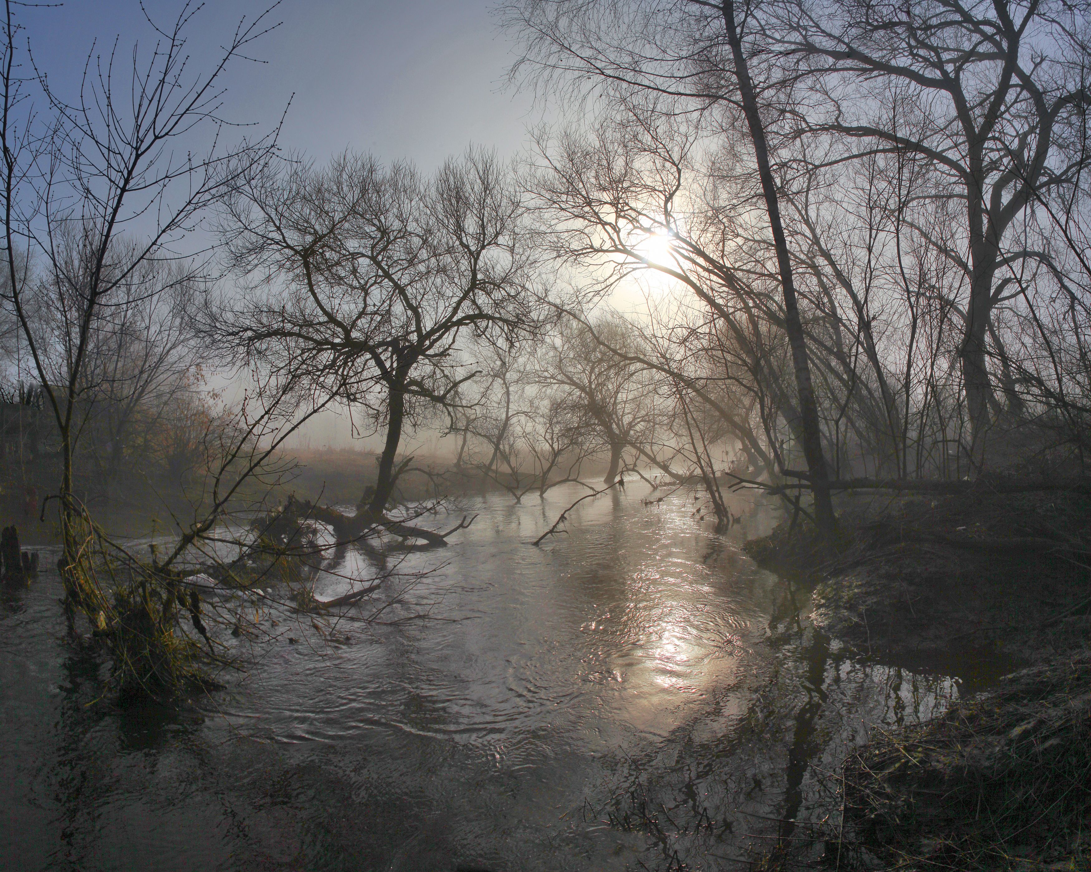 река , утро , солнце, Александр Свистков