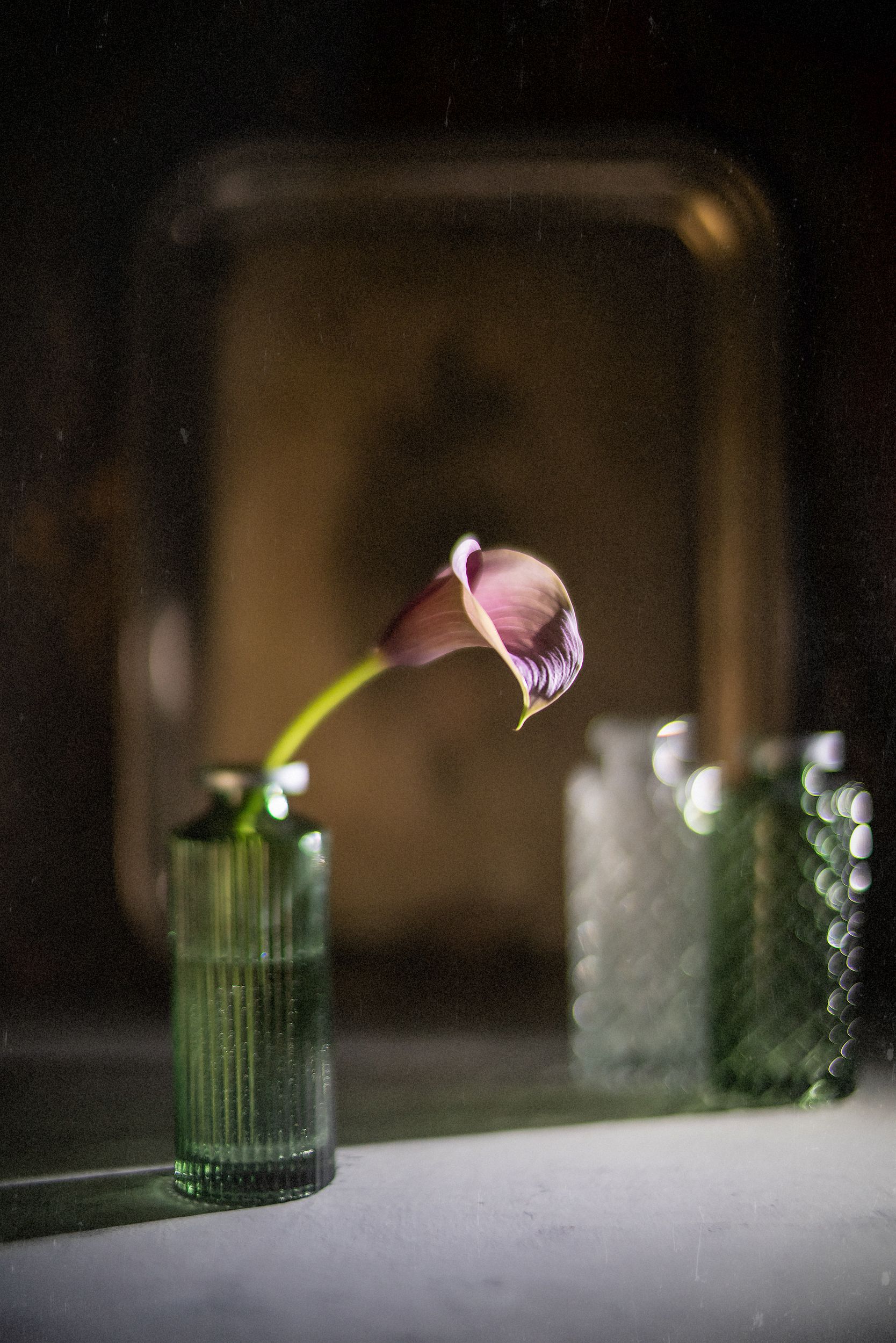 Натюрморт цветок калла, Тата Бакбак