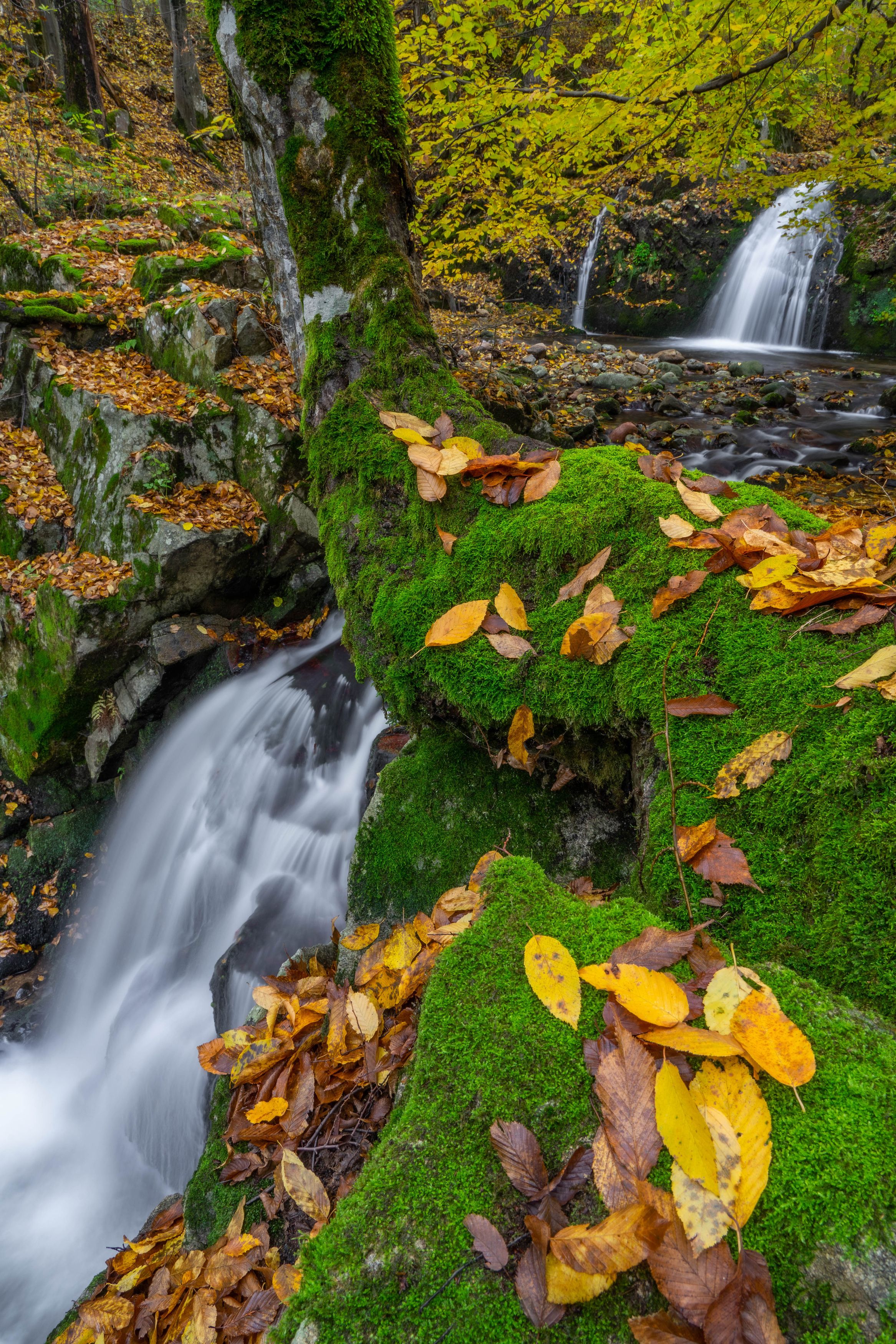 autumn landscapes nature waterfalls , viktor demidov