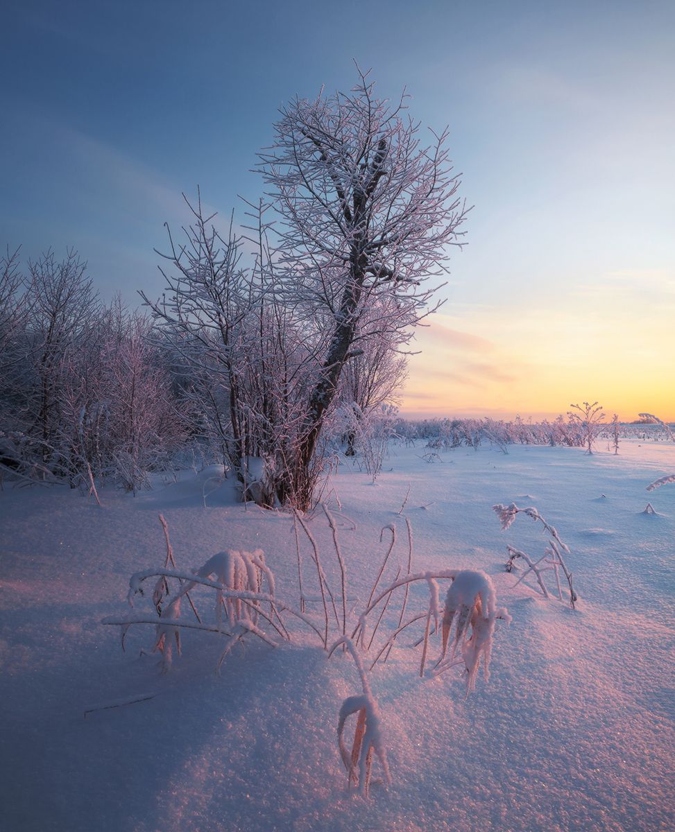 зима, закат, поле, мороз, снег, вологодская область, Смольский Евгений