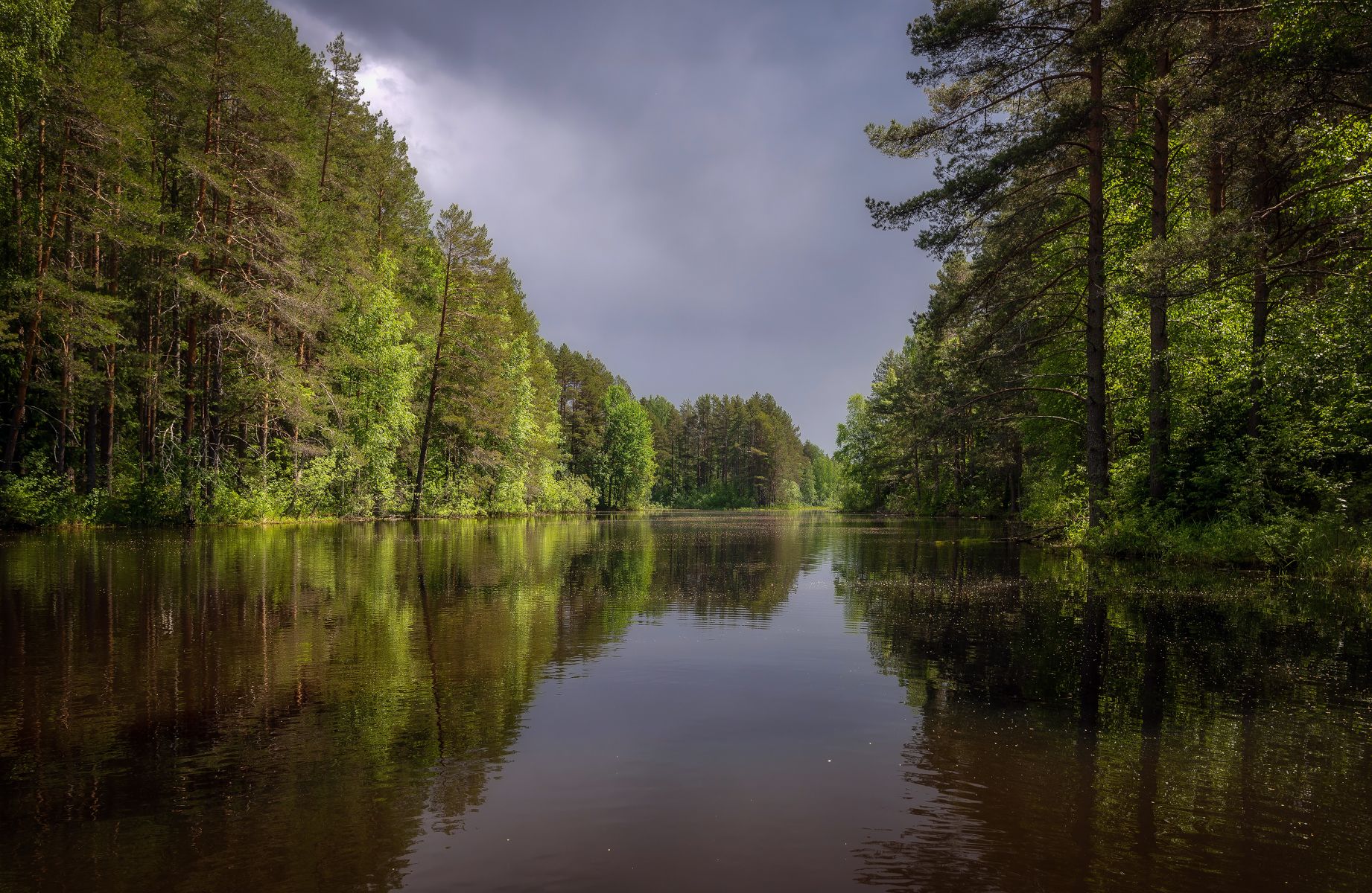 река, лес, весна, Сергей Аникин