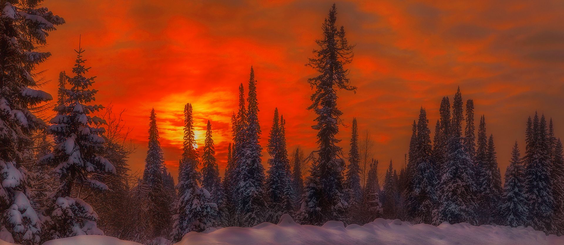 зима природа лес закат тайга сибирь, Viktor Kholudeyev