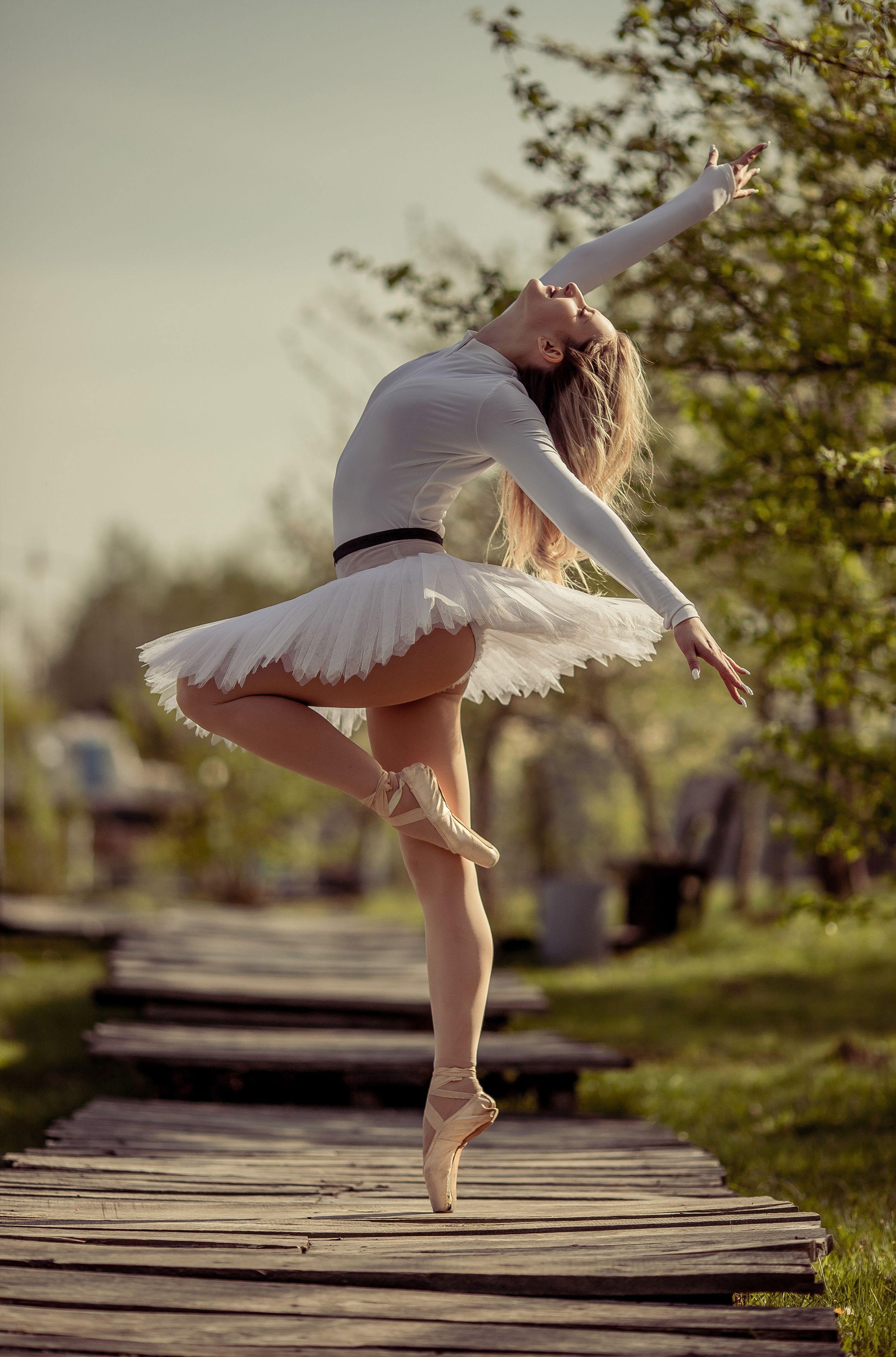 балет, балерина, Алексей Владимирович