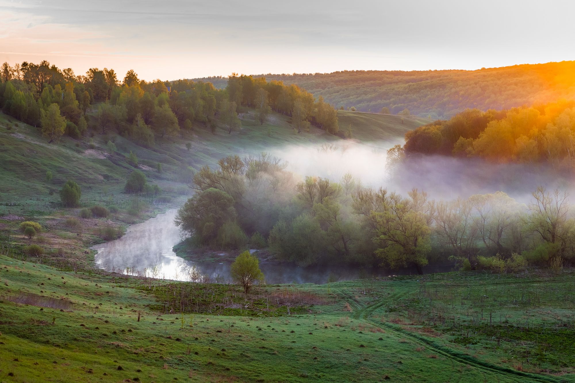 утро, туман, май, лощина, река, пейзаж, Юрий Морозов