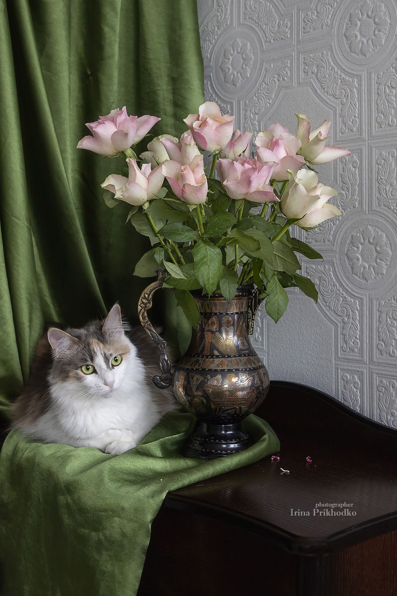 натюрморт, букет, розы, цветы, кошка, домашние питомцы, Приходько Ирина