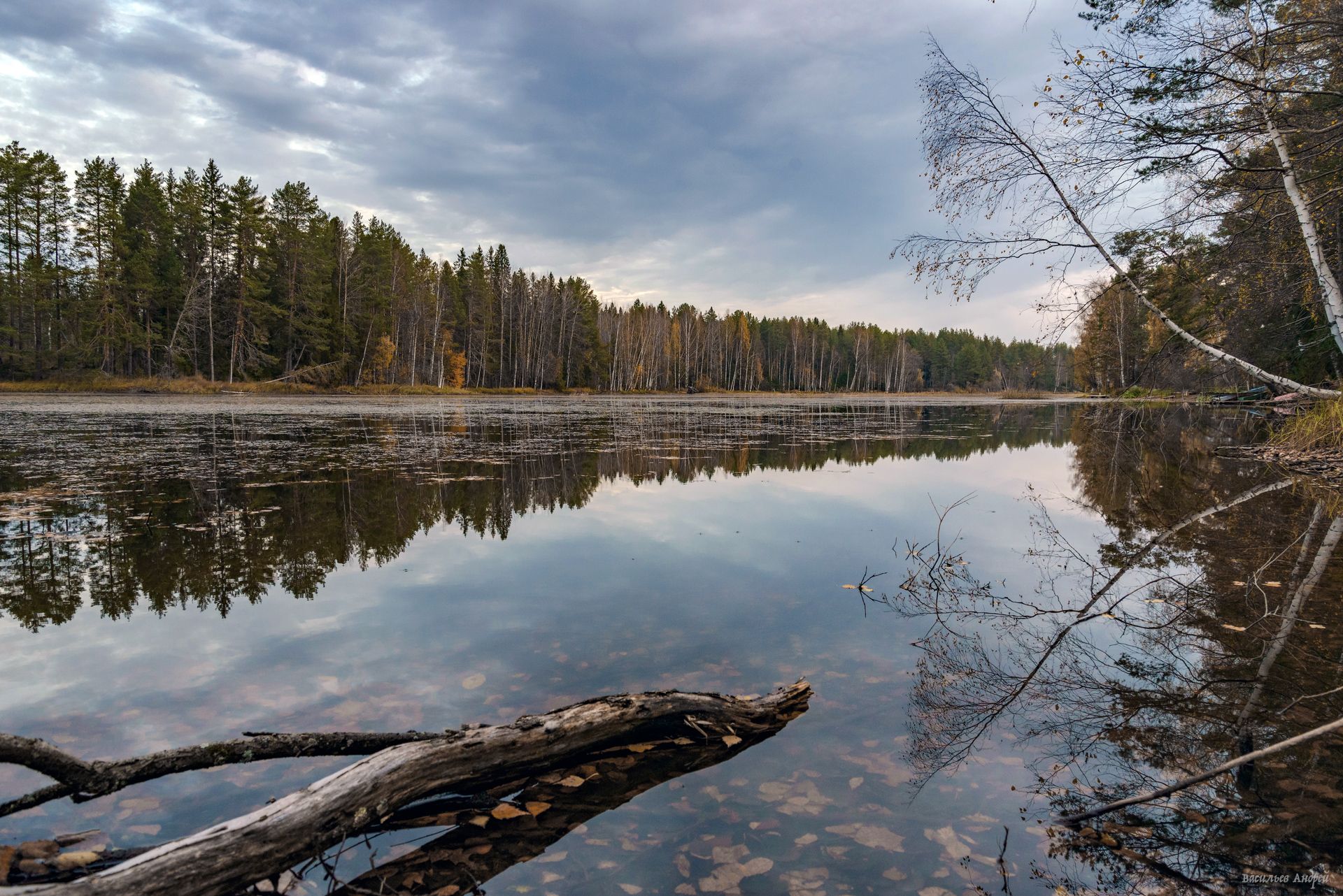река копья, осень, кировская область, белая холуница, Vasilyev Andrey