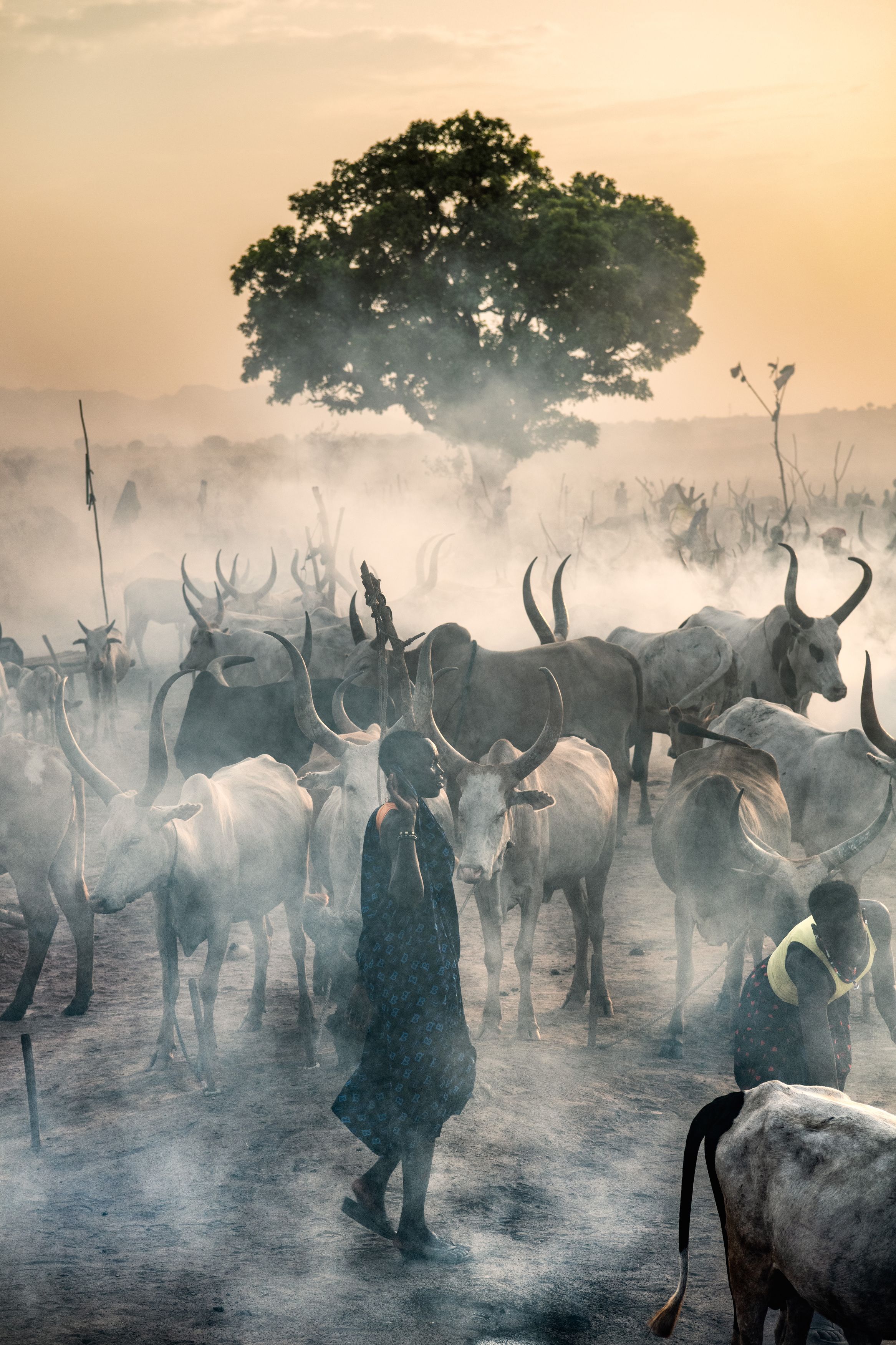 Mundari, cattle camp, South Sudan, life, culture, Africa, Trevor Cole