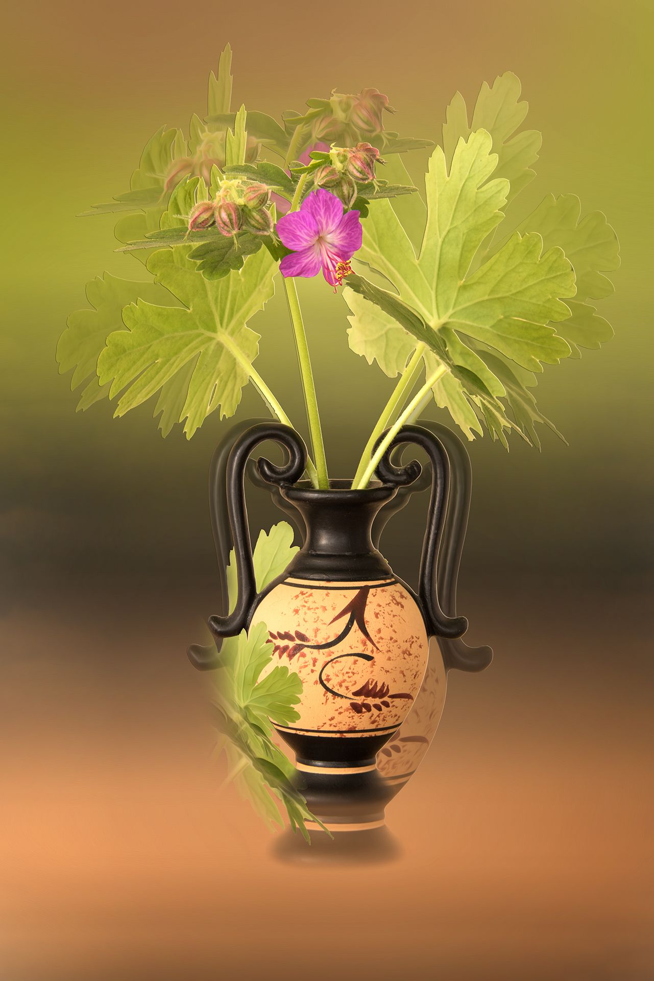 color, colors, concept, conceptual, flower, flowers, geranium, impression, nature, photography, spring, springtime, still life, vase,, Dr Didi Baev