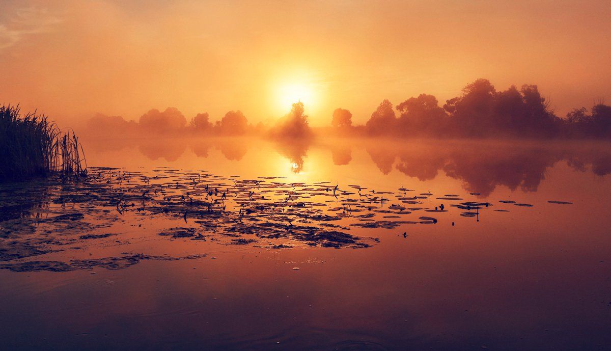 восход, природа, рассвет, река дубна.подмосковье, солнце, туман, утро, Dmitry Postnikov
