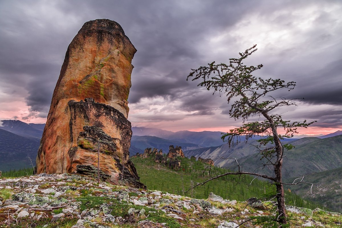 якутия, хребет черского, оймяконский улус, кисиляхи, останцы, лиственница, лесотундра, Кирилл Уютнов