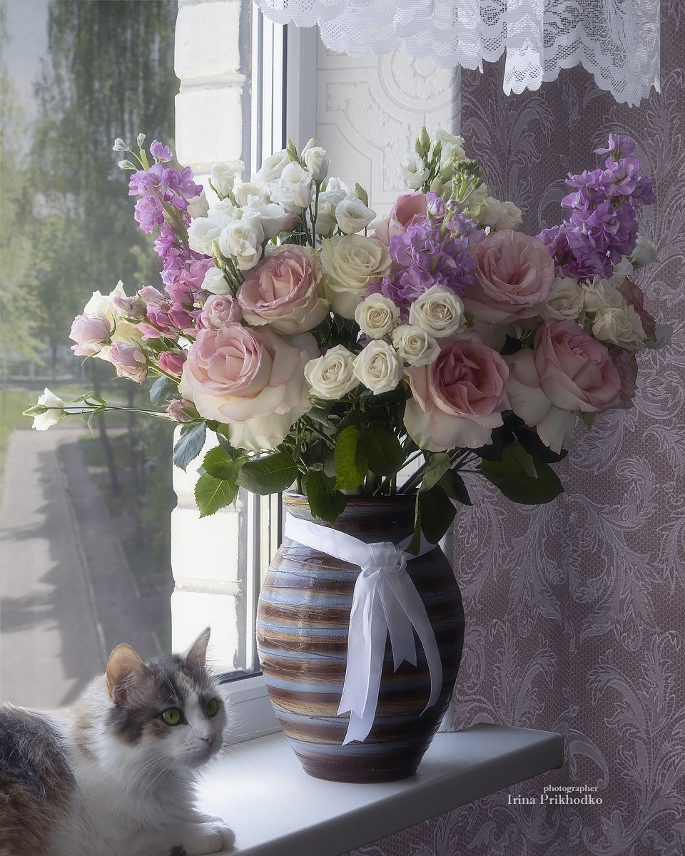 натюрморт, букет, цветы, окно, кошка, Приходько Ирина