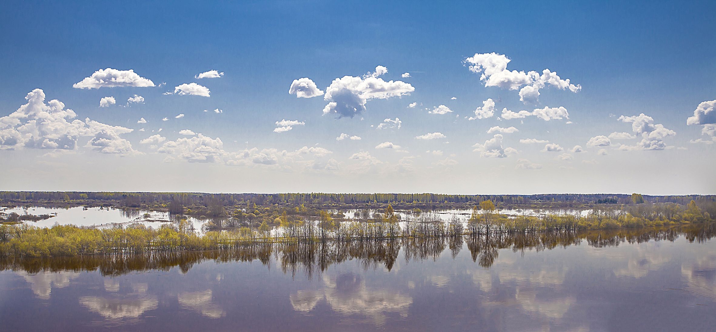 река, весна, молома, вода, половодье, Широких Александр