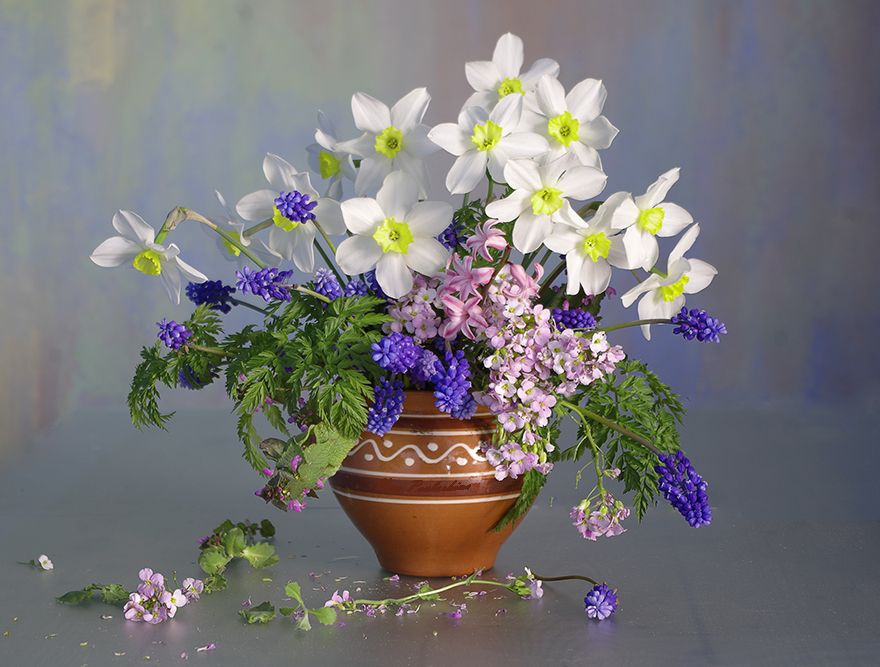#натюрморт #цветы #весна #вера павлухина #, Вера  Павлухина