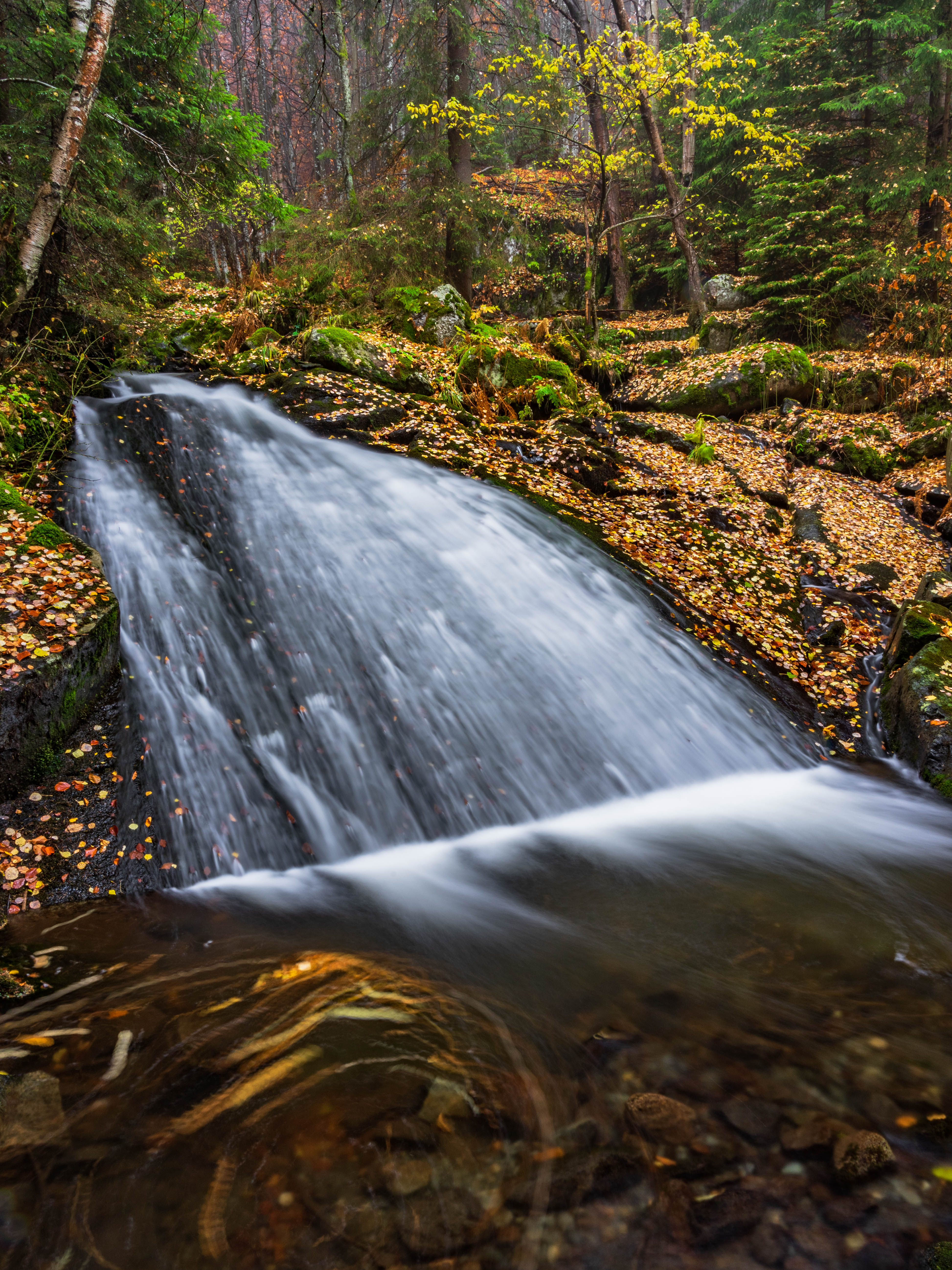 autumn nature landscape waterfall river, viktor demidov