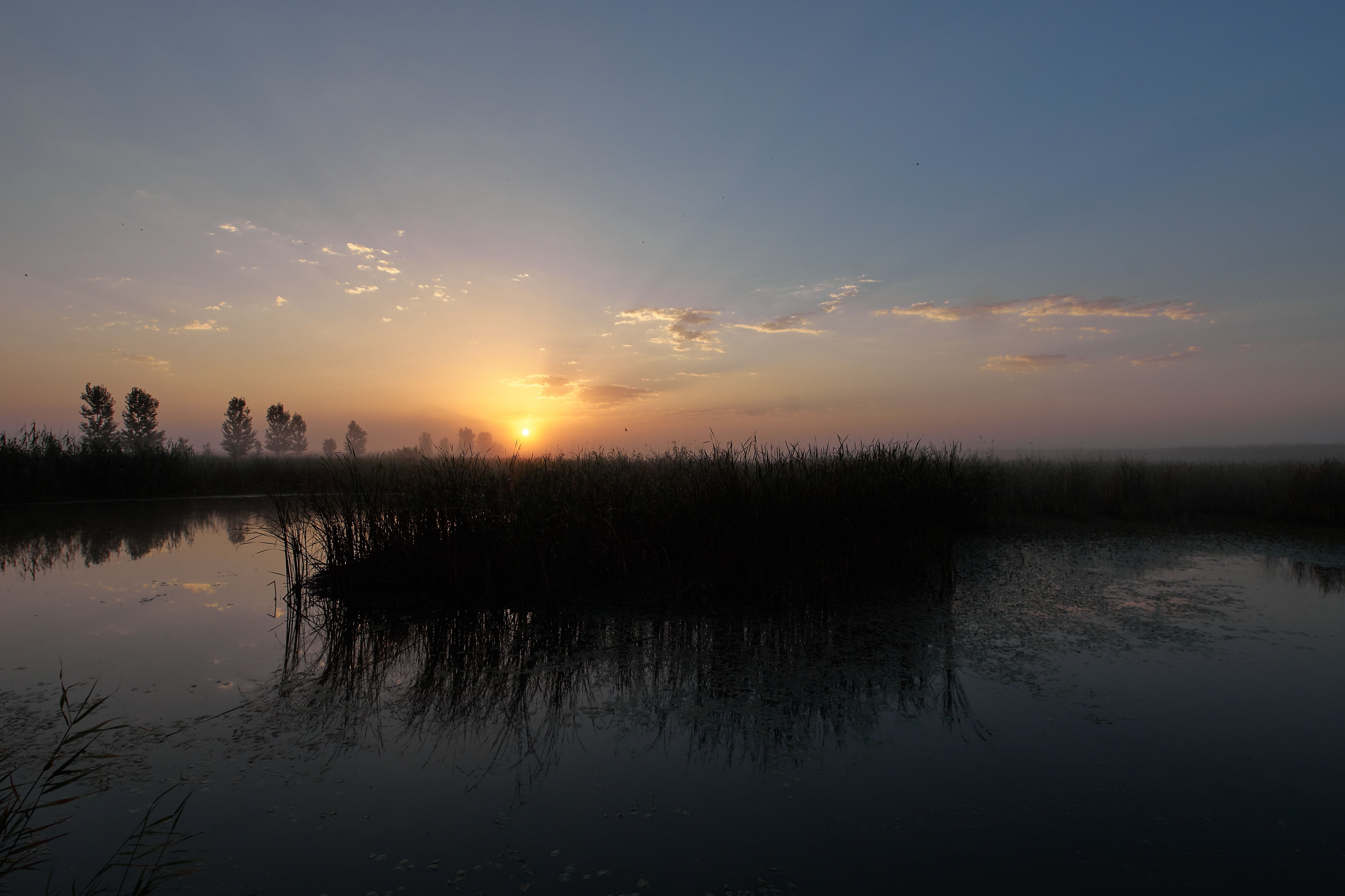 рассвет, Астарахнь, пойма, Волга, floodplain, , Сторчилов Павел