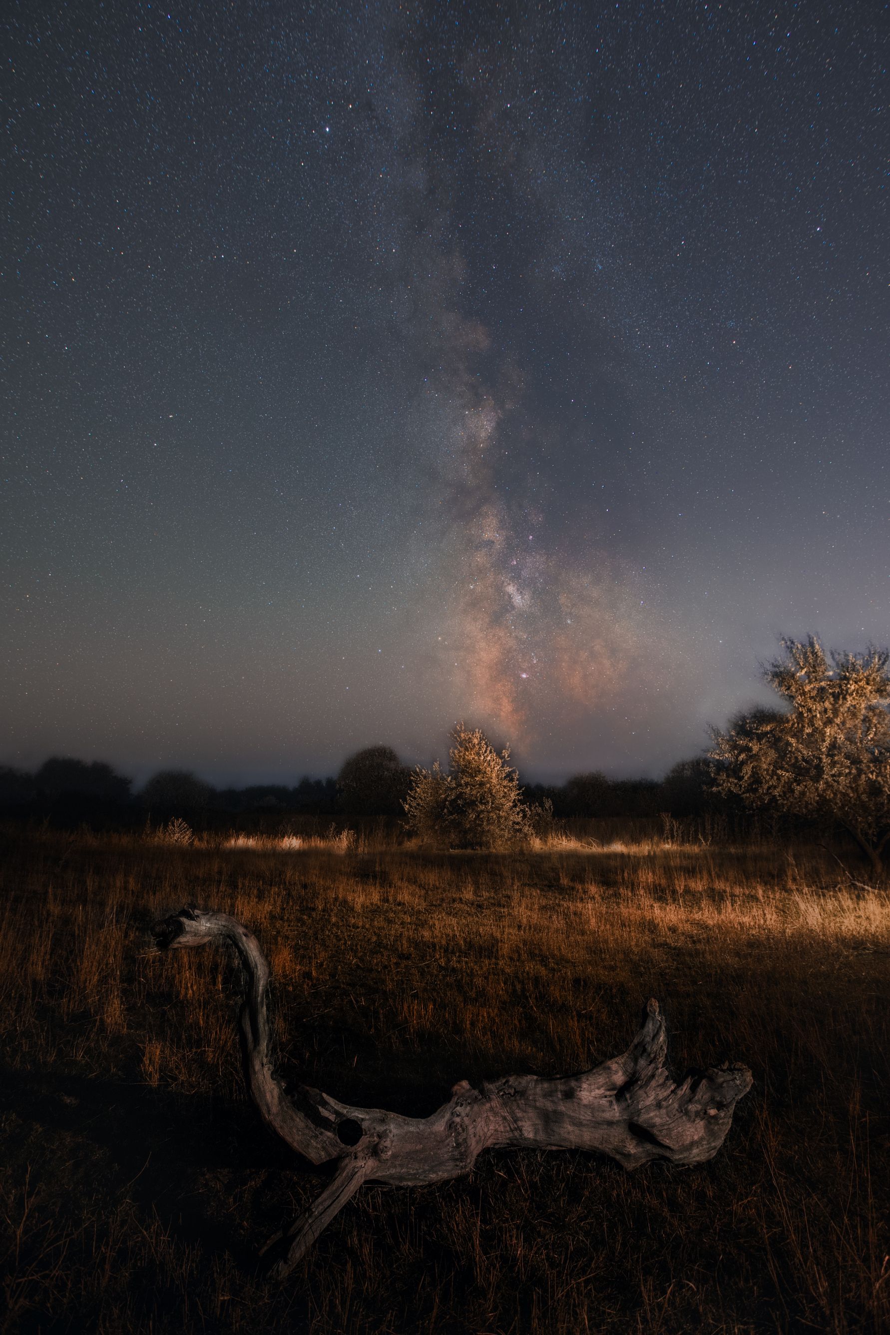ночь, ночной пейзаж, млечный путь, астрахань, степь, звезды, астрофотография, Vladislav