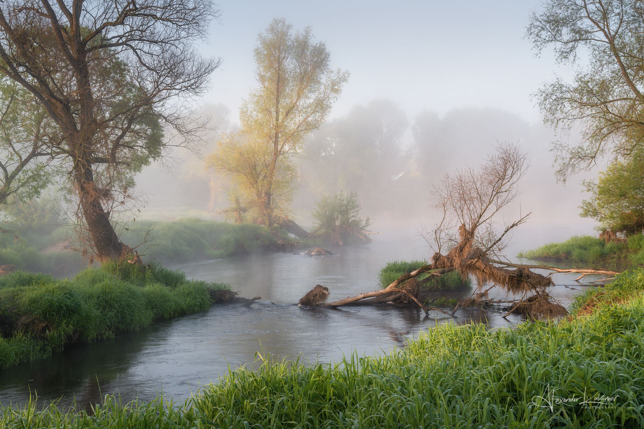 пейзаж,утро,рассвет,туман,река, Александр Кукринов