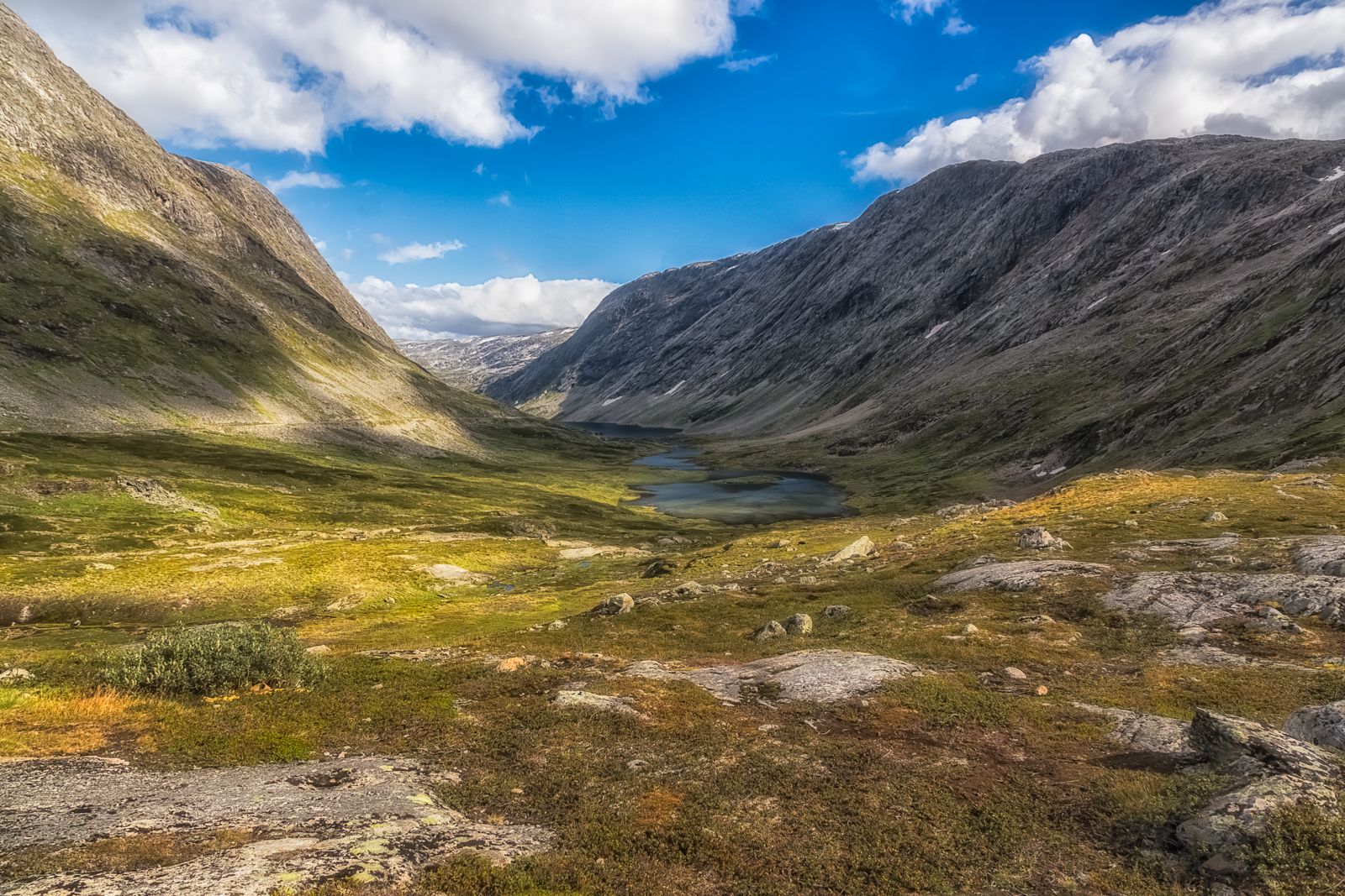 Норвегия, природа, пейзаж, горы, Лариса Дука