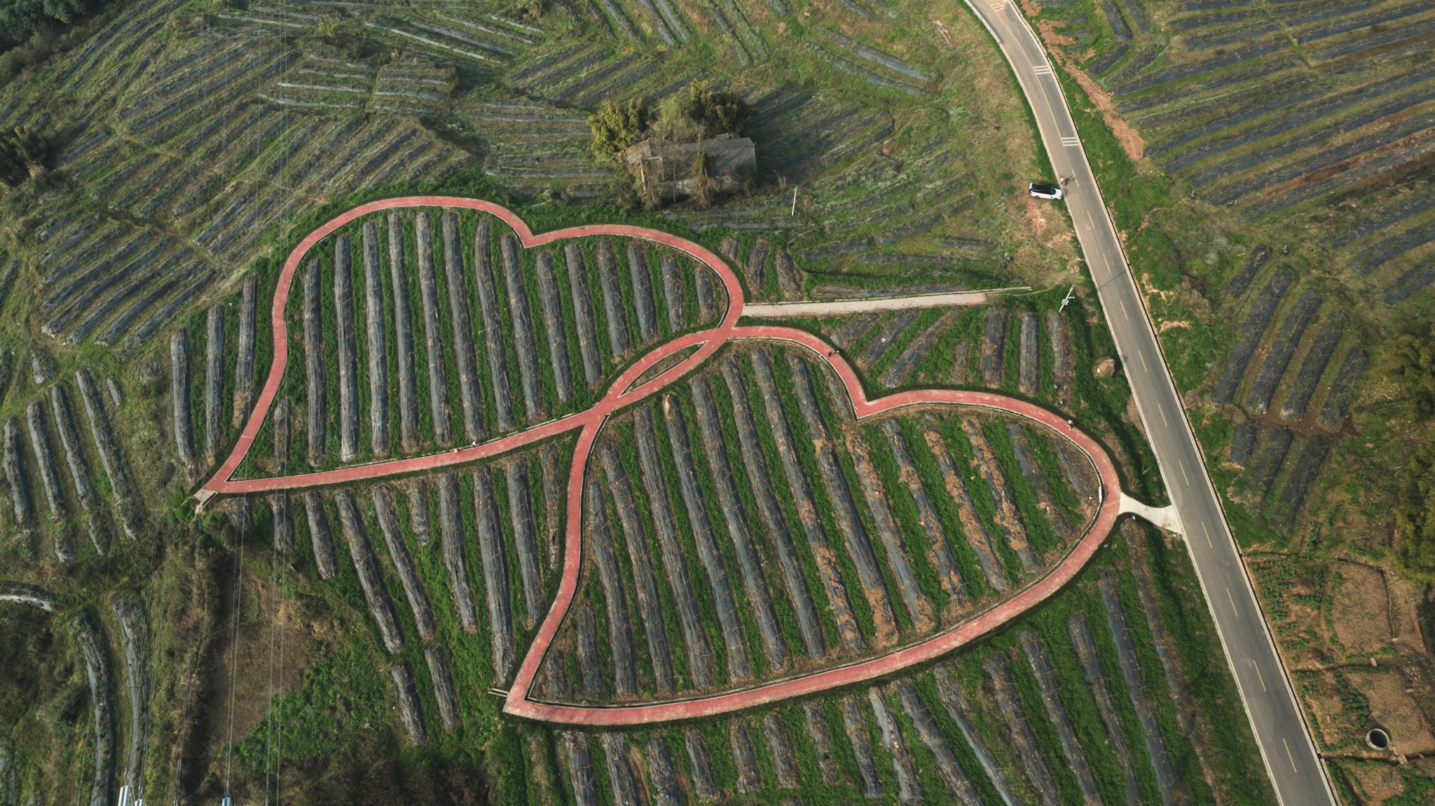 heart, love, air, drone, village, china, chengdu, field, farm, Denys Druz