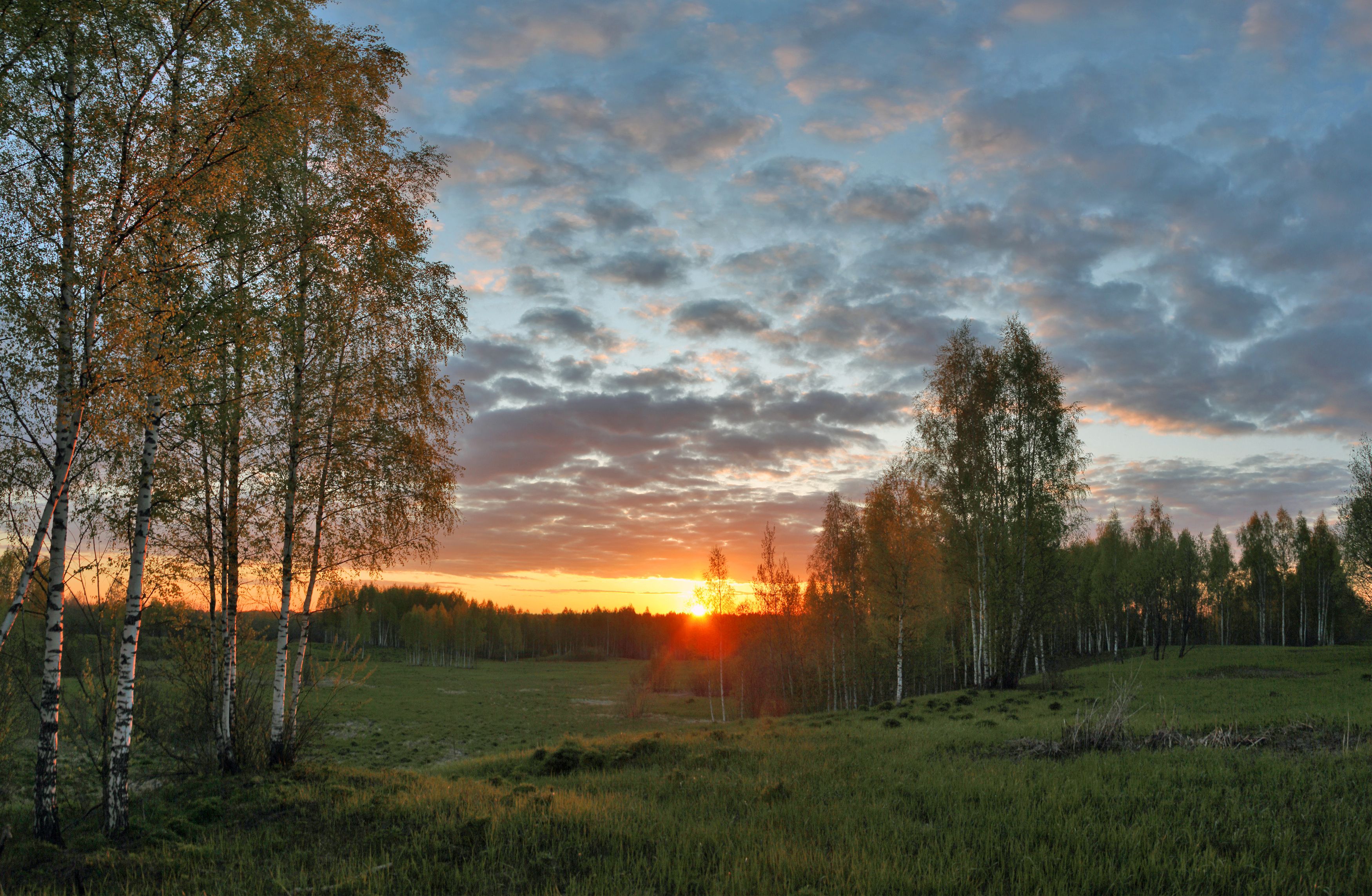 закат , лес , солнце , поле, Александр Свистков