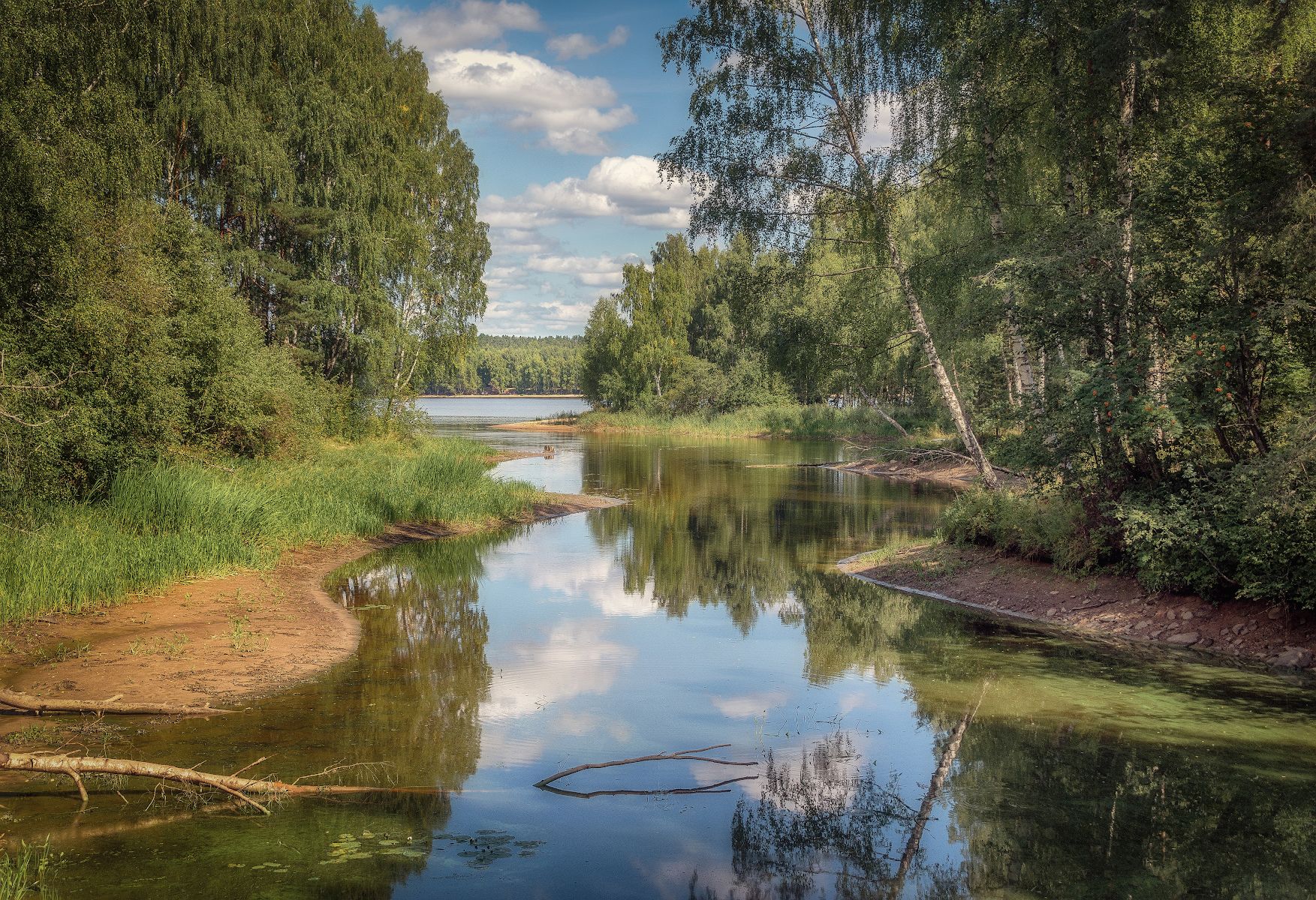 река, лес, протока, лето, Сергей Аникин