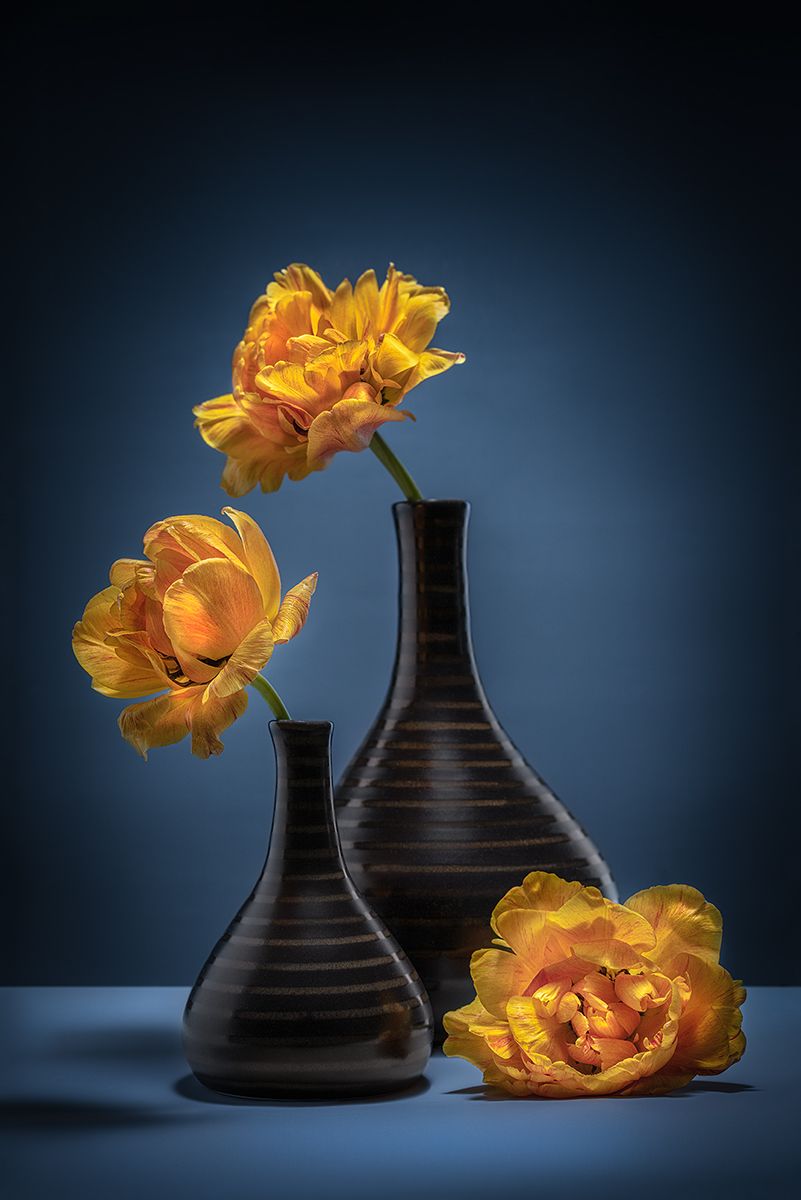 тюльпаны, цветы, флора, лепестки, натюрморт, ваза, Ольга ЯR