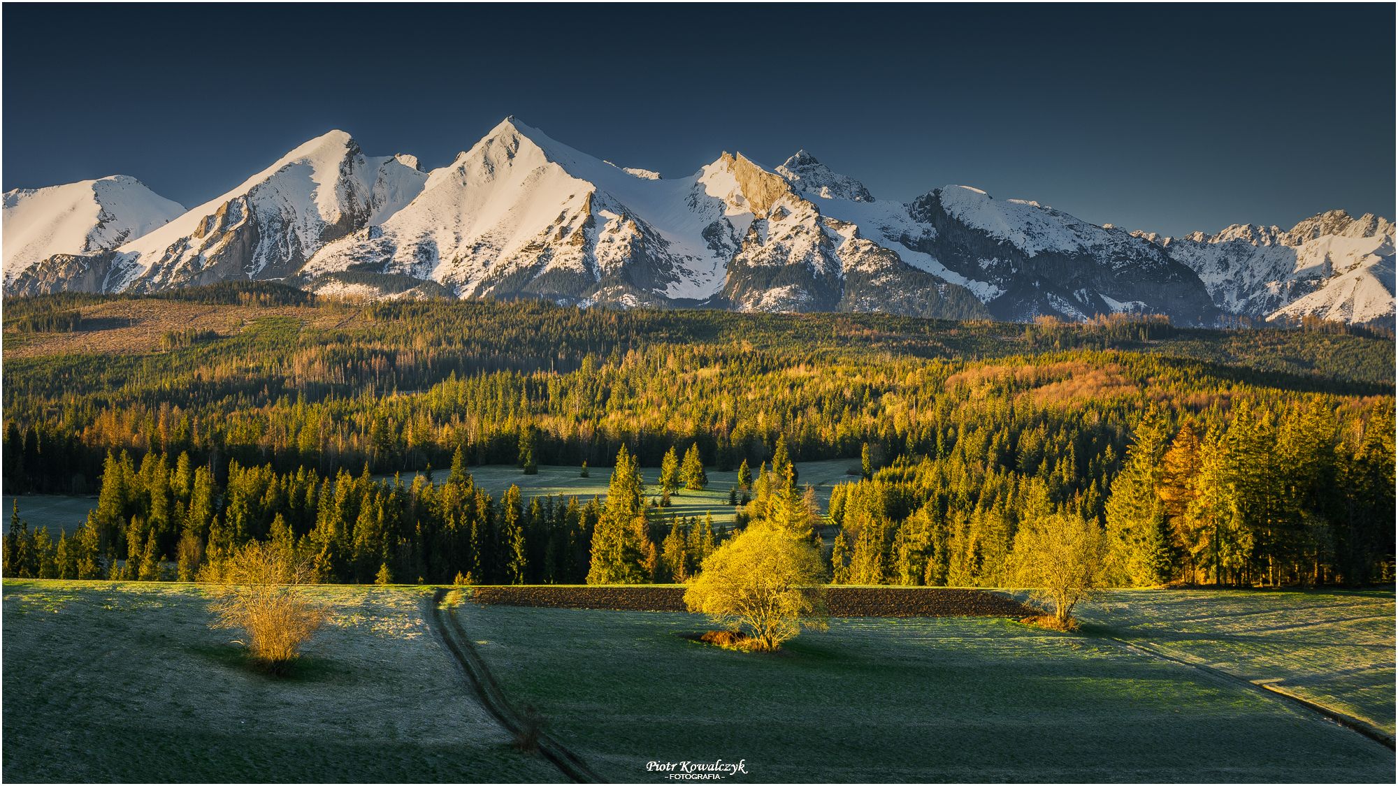 polska, drzewa, wiosna, tatry, góry, Kowalczyk Piotr