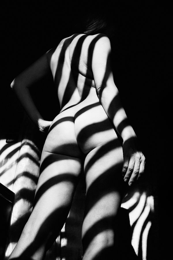 art nude, fine art nude, bw nude photo, conceptual, minimalism nude, shadows nude, art shadows, zebra shadows nude, abstract nude,, zebra, Mikhail Faletkin