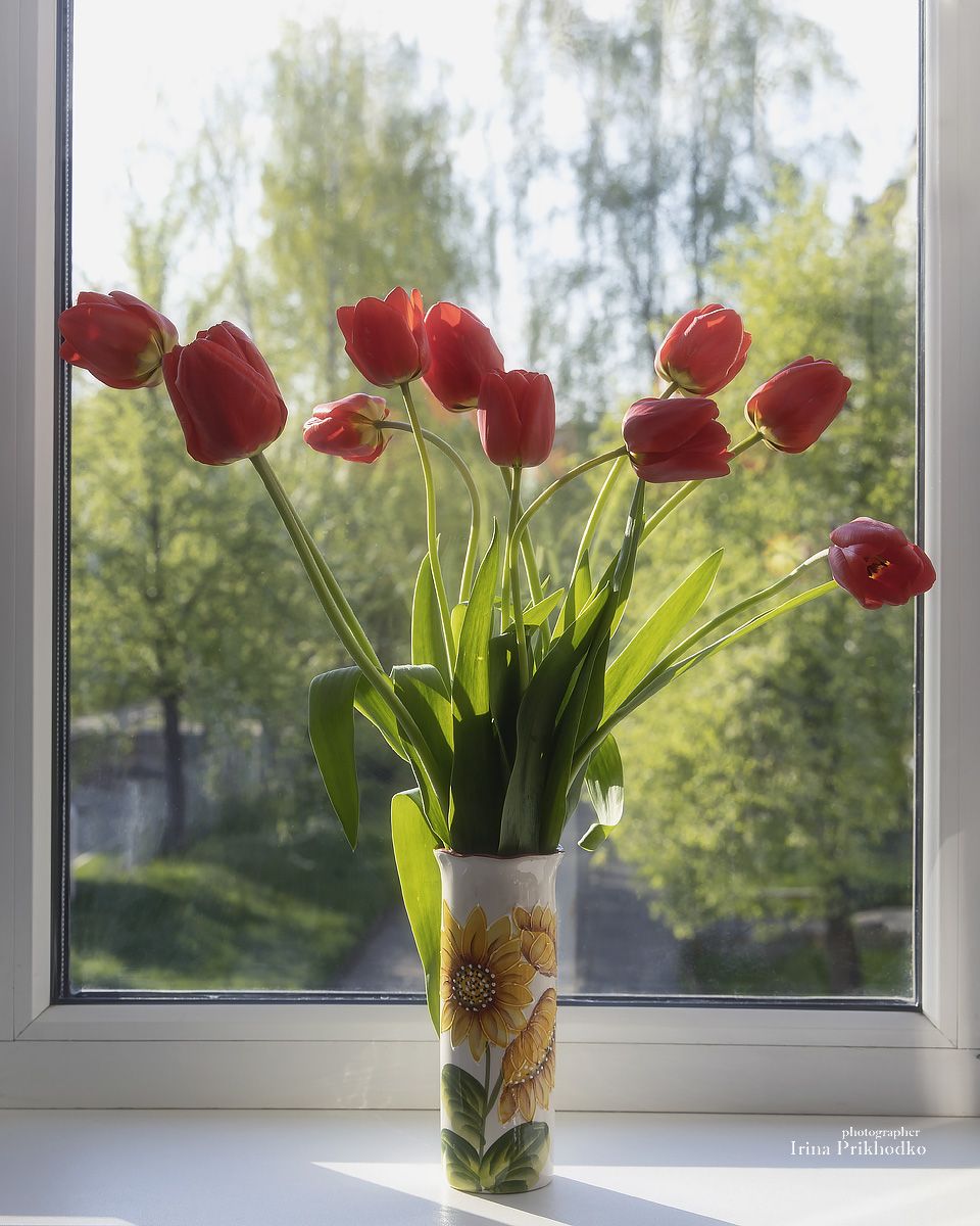 натюрморт, цветы, букеты. тюльпаны, окно, Приходько Ирина