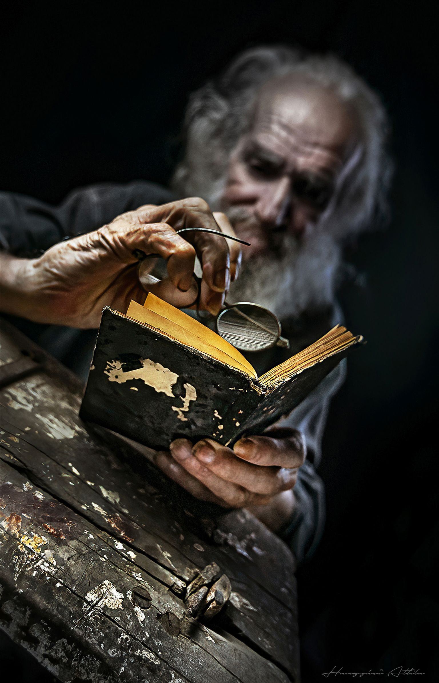 old man, reading, fine art, portrait, Attila Hangyasi
