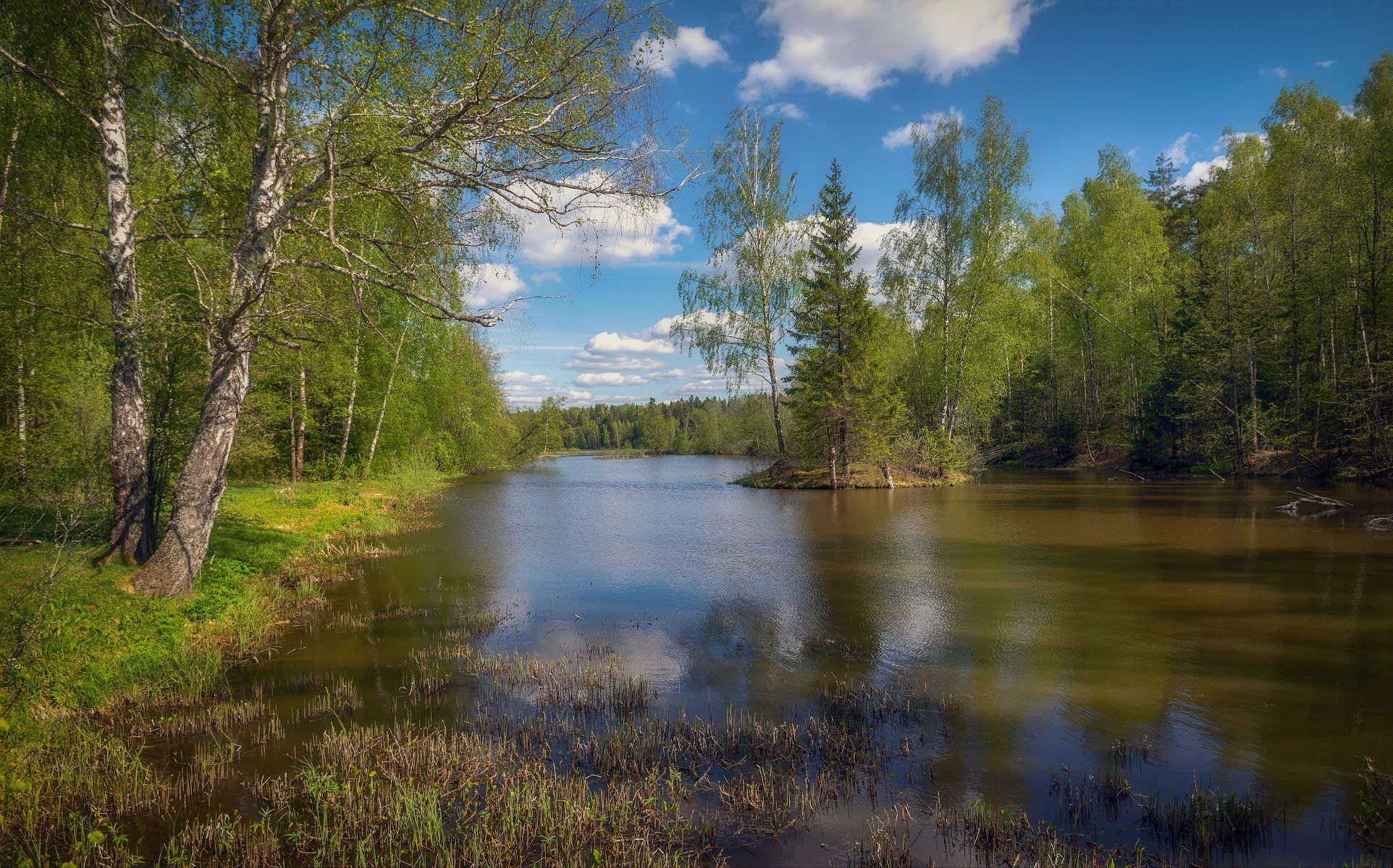 весна, лес, река, Сергей Аникин
