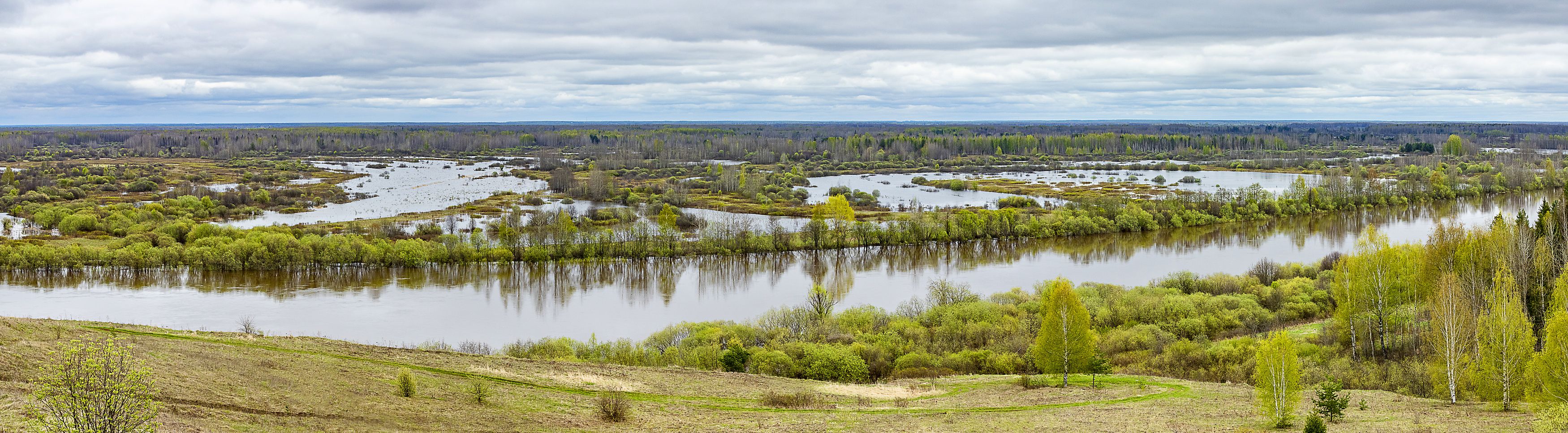 разлив, река, весна, май, вода, Широких Александр