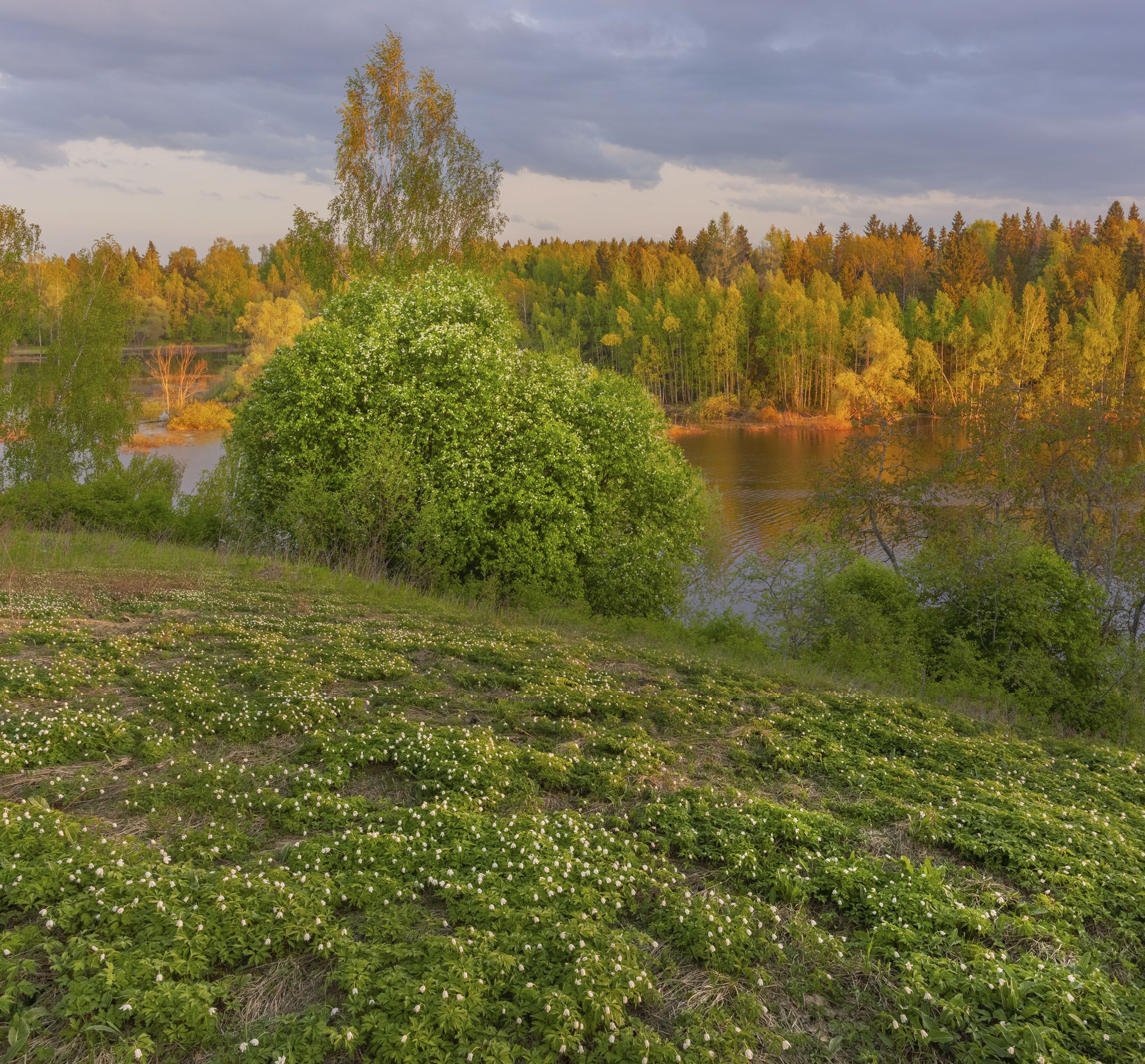 Подмосковье. Photographer Vladimir Ryabkov