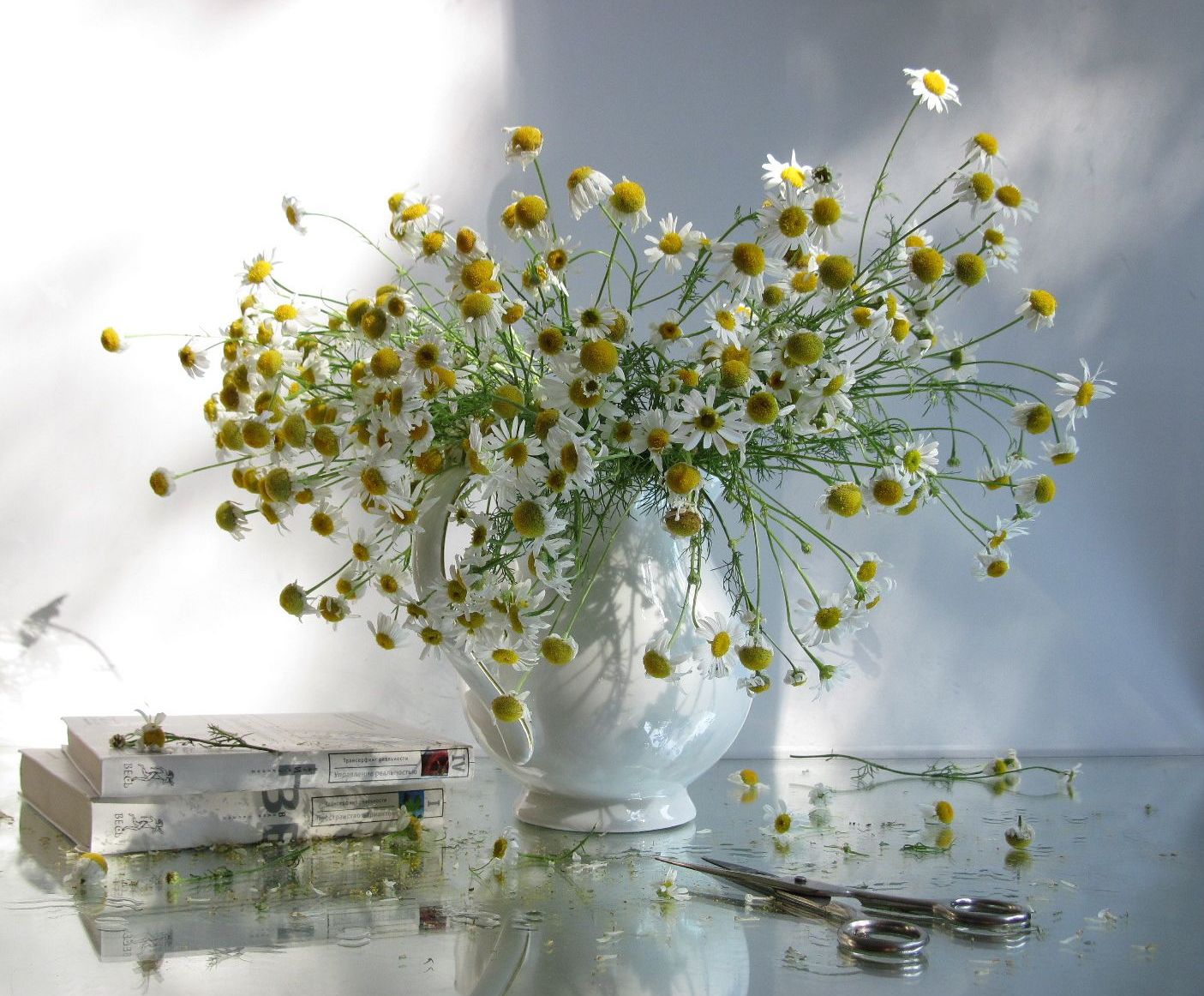 цветы, букет, ромашки, кувшин, книги, ножниц, белый цвет, Наталия Тихомирова