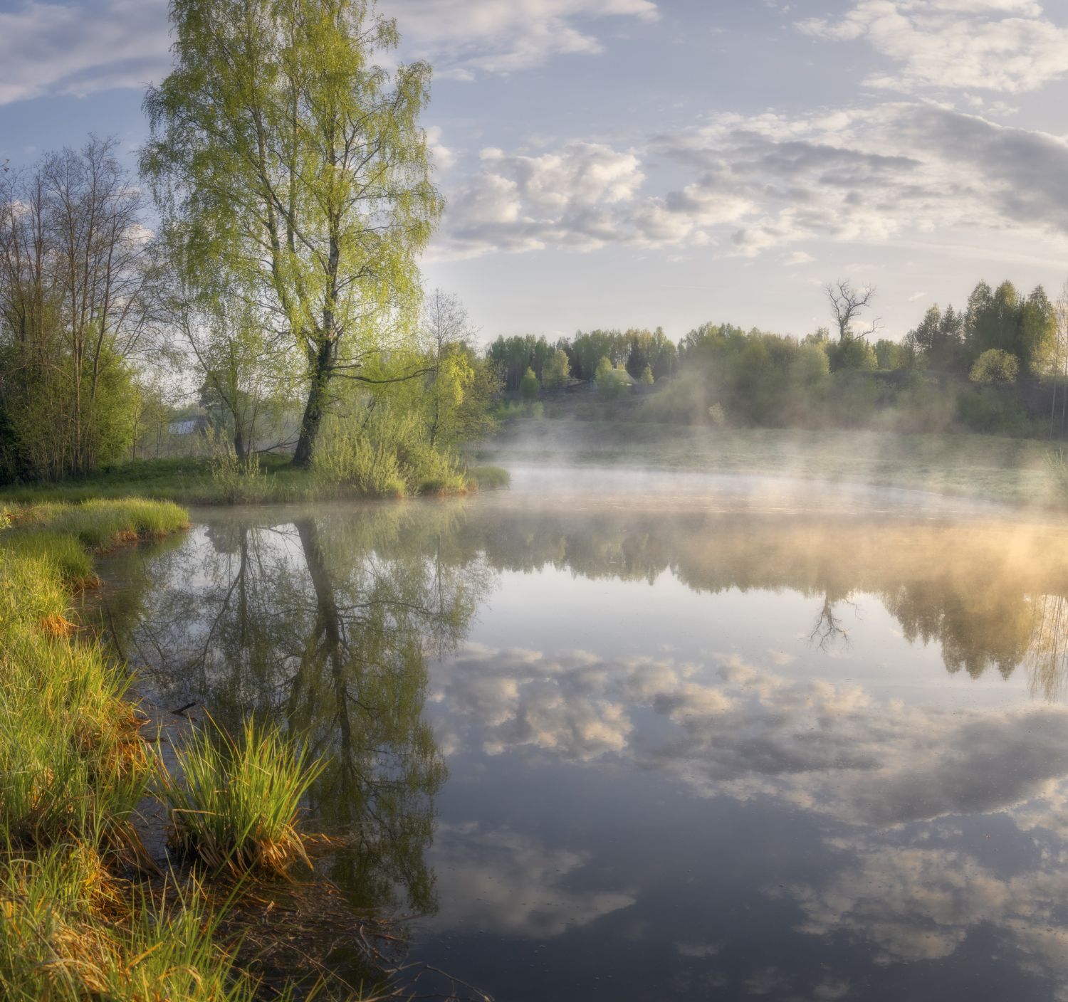 утро май рассвет вода пруд листва свежесть, Сергей Буторин