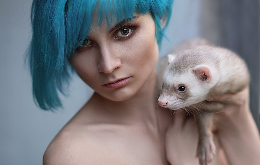 девушка синие волосы хорек портрет, Анна Колмакова