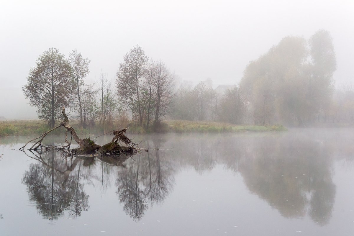 вода, природа, река, туман, Сергей Жуковский