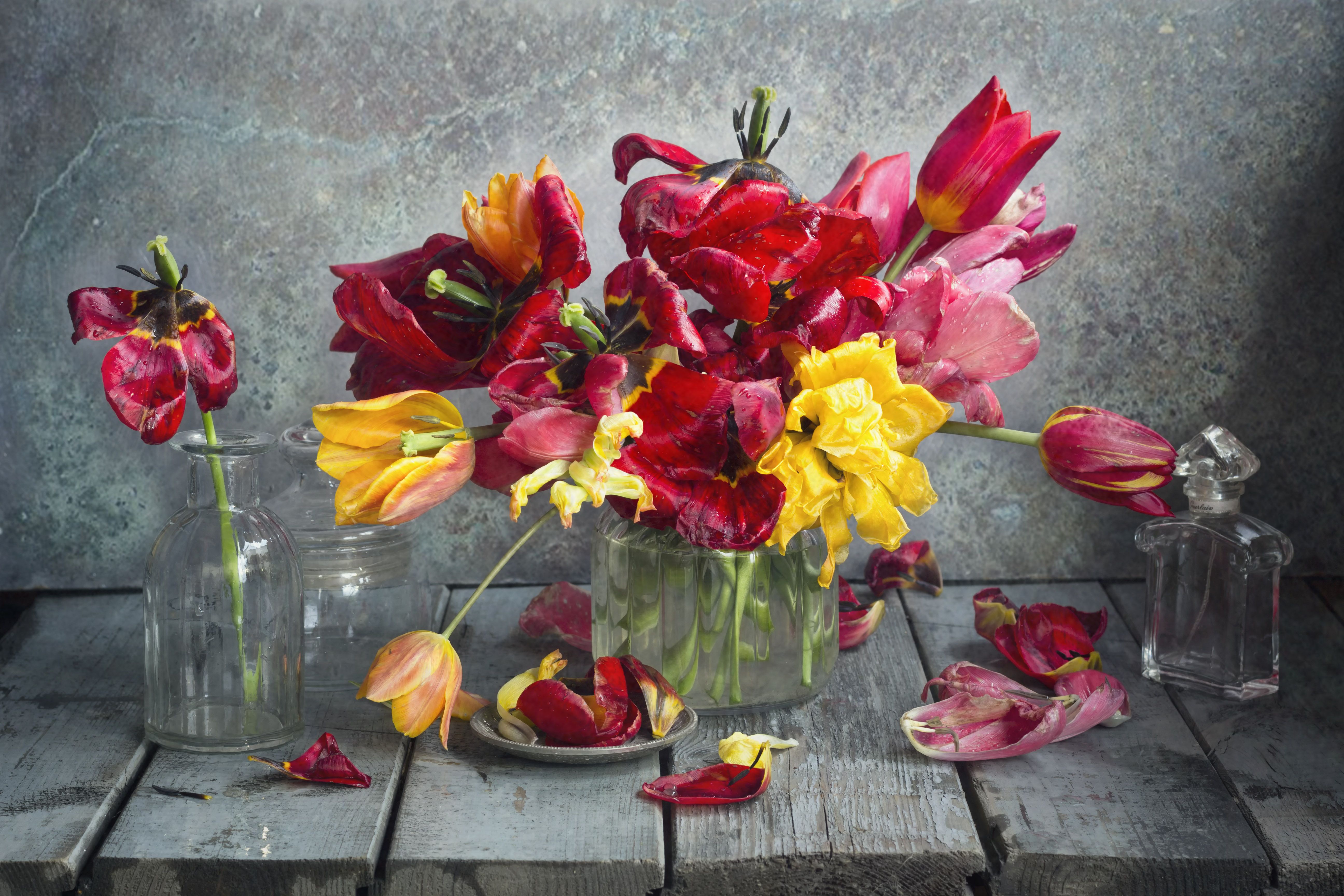 тюльпаны, цветы, весна, натюрморт, разные, Зимина Лионелла