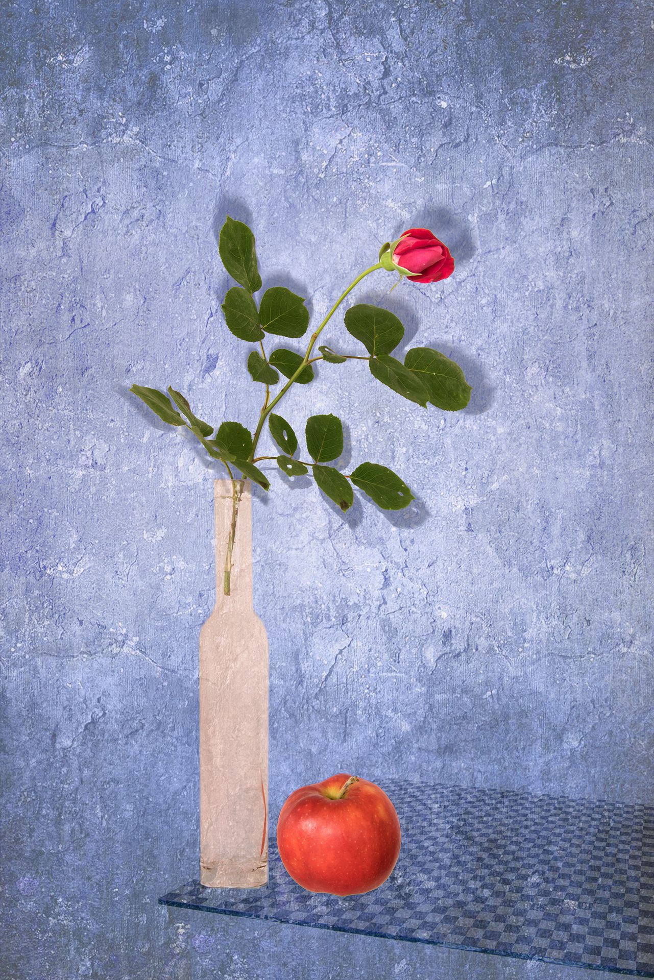 apple, blue, bottle, color, colors, concept, conceptual, photography, red, rose, still life,, Dr Didi Baev