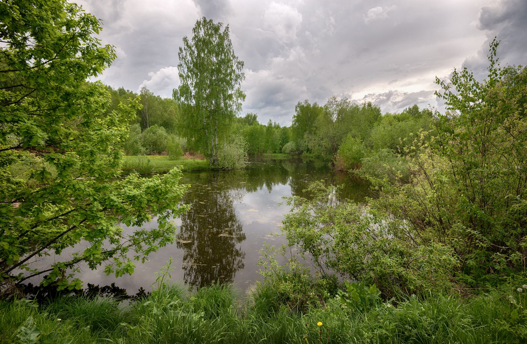 лес, река, май, Сергей Аникин