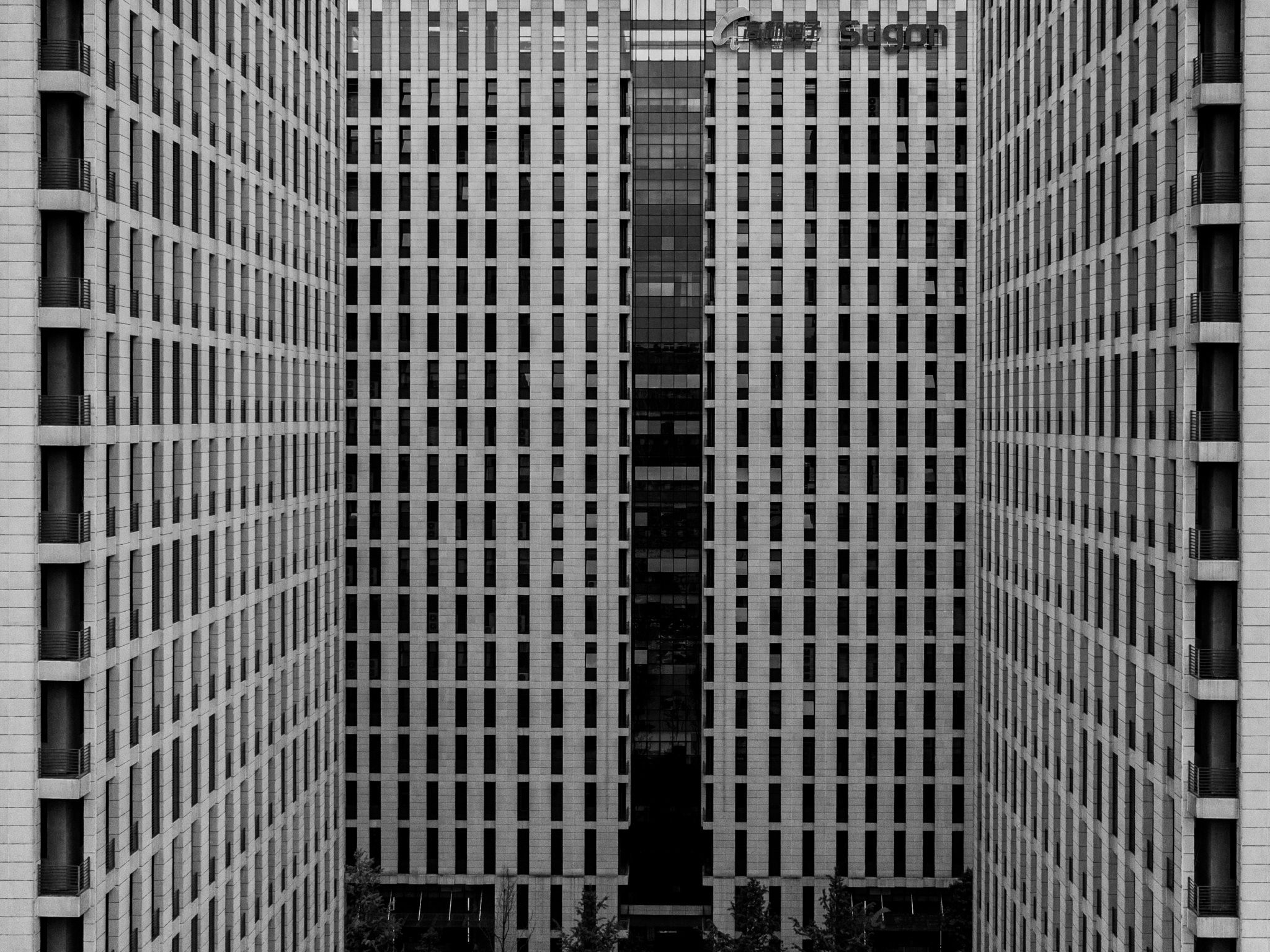 bird's eye view, aerial view, black and white, symmetry, repetition, tall buildings, cells, Druz Denys
