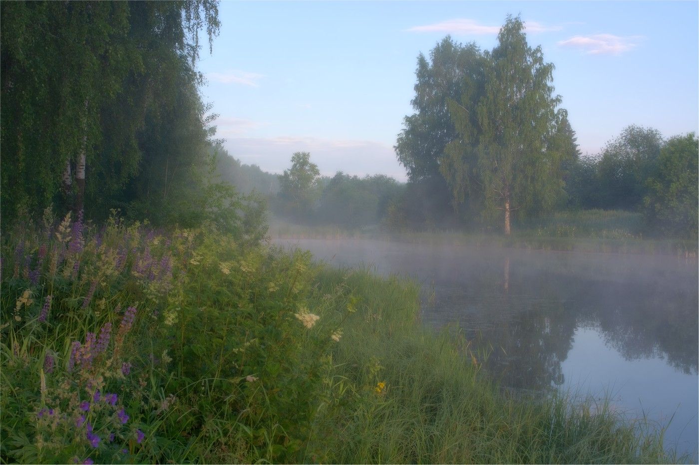 Раннее утро вот крохотные. Лето река. Летом на речке. Летняя река. Рассвет на реке.