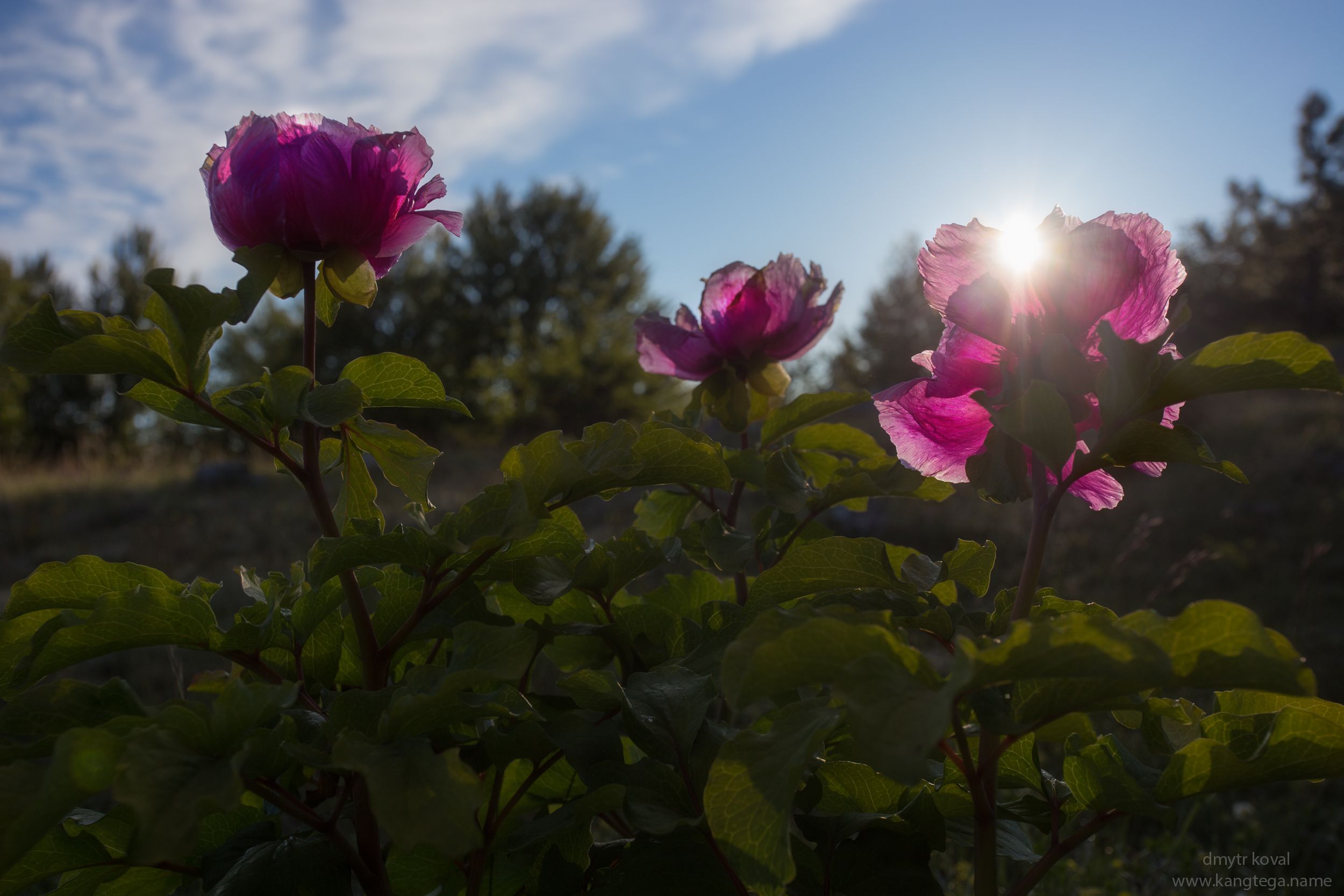 дмитр коваль, гималаи и крым вне треков, пейзаж как магия, Коваль Дмитр
