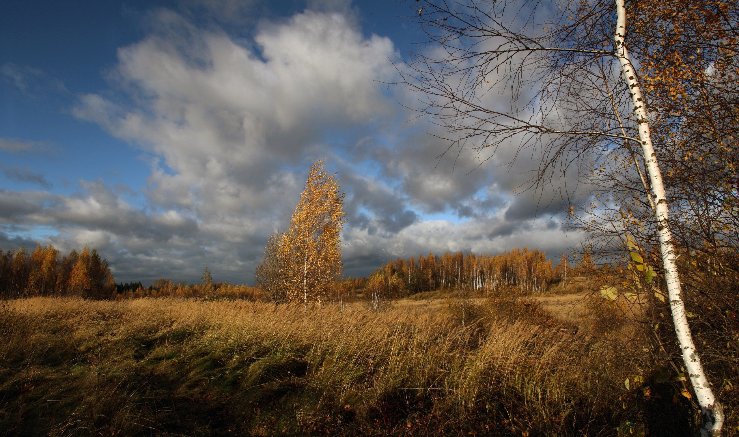 осень , поле , облака, Александр Свистков