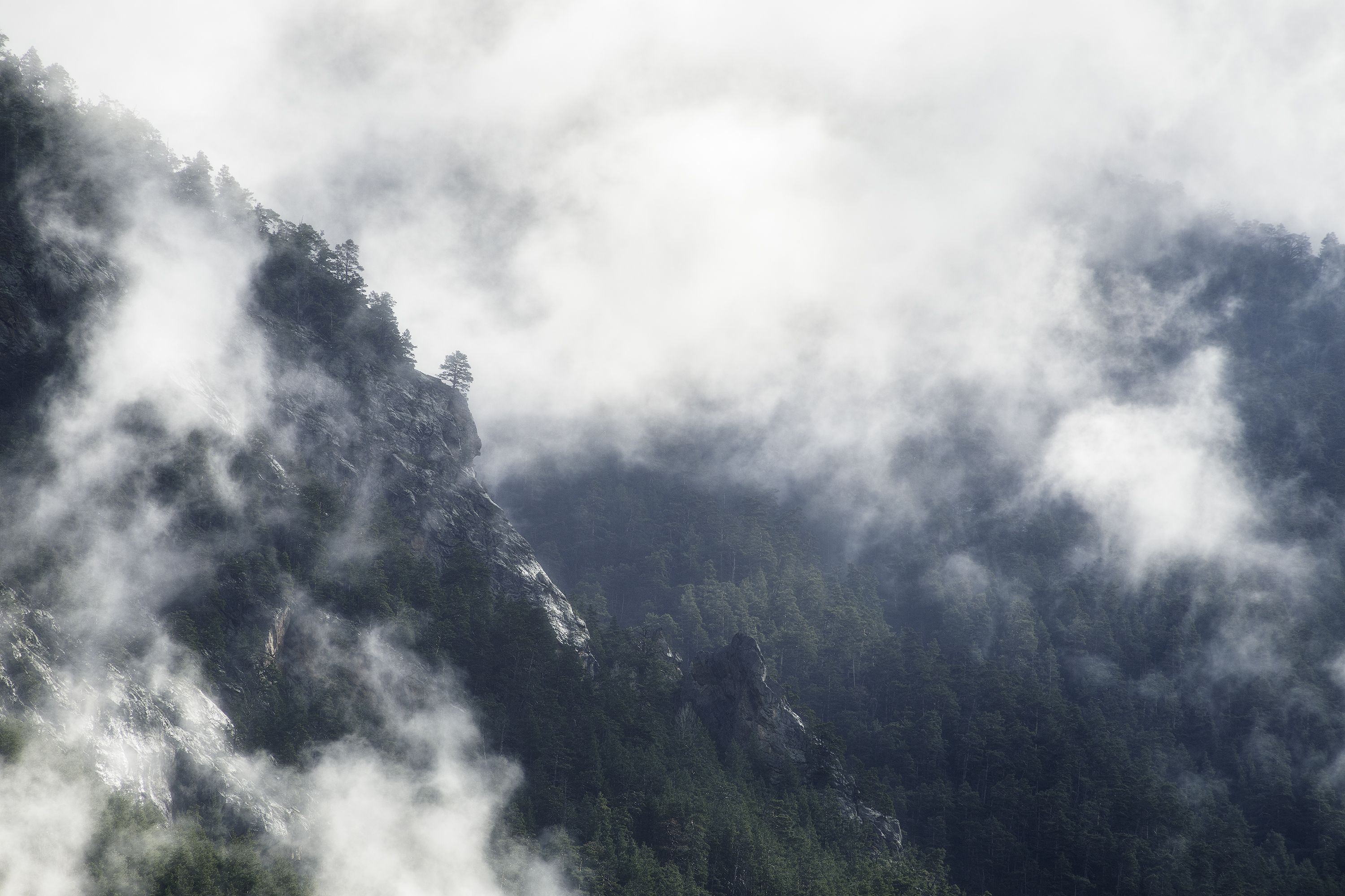 горы, туман, дерево, пейзаж, кавказ, кчр, весна, mountains, hiking, landscape, tree, fog, облака, лес, Чаланов Иван