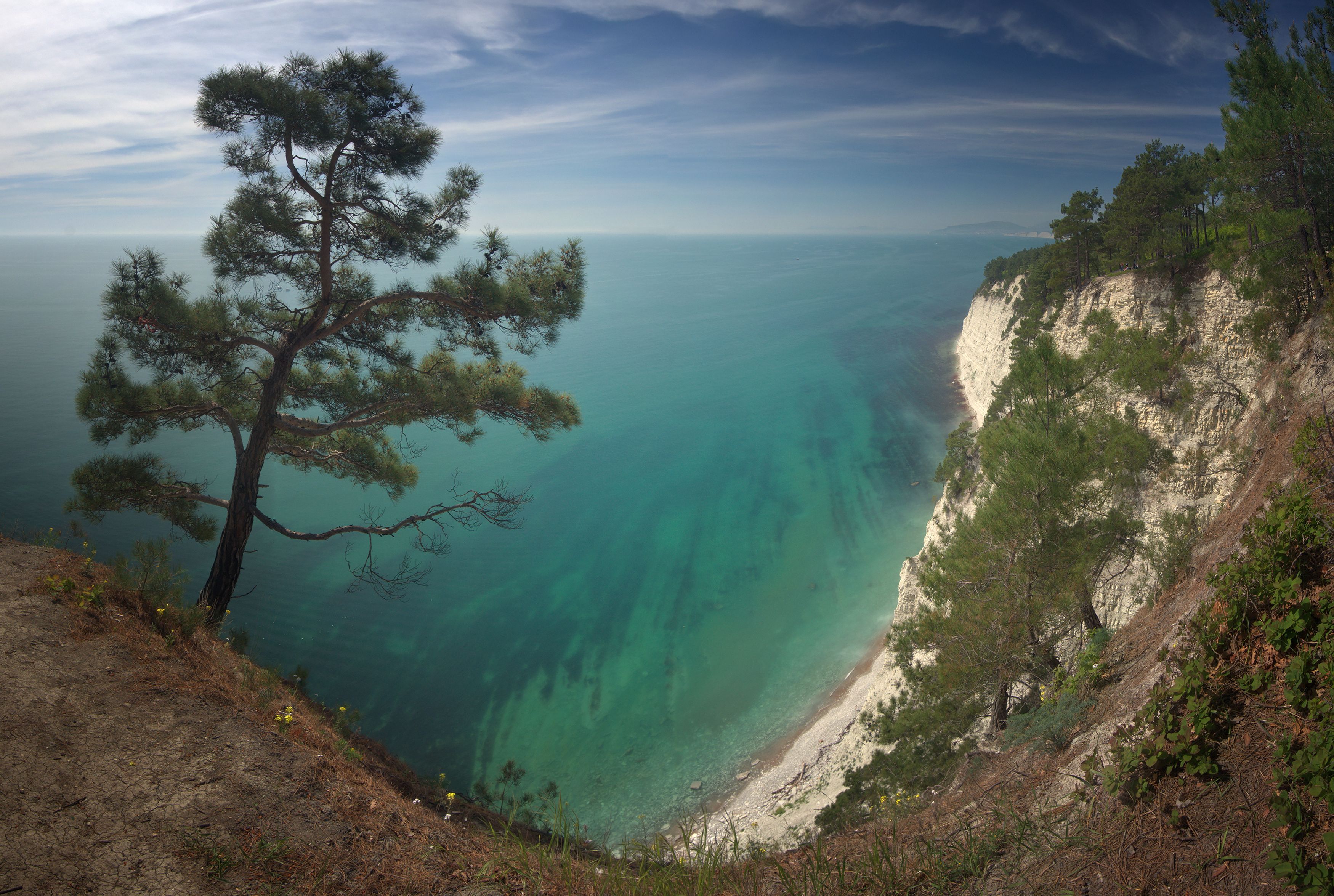 море, горы, сосны, краснодарский край, Алексей Никонов