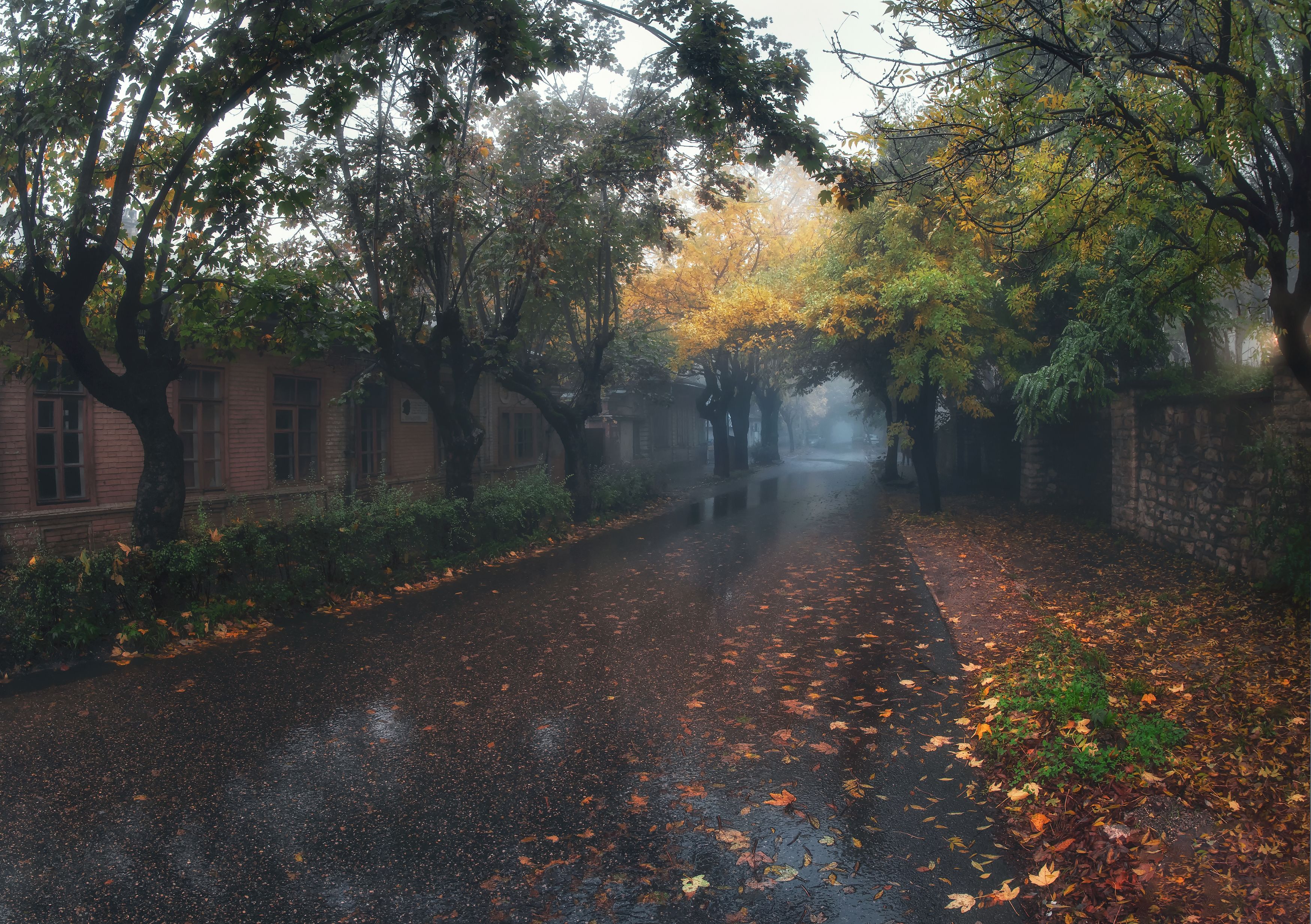железноводск, осень, туман, дождь, улица, кавказ, путешествие, россия, Саблин Станислав