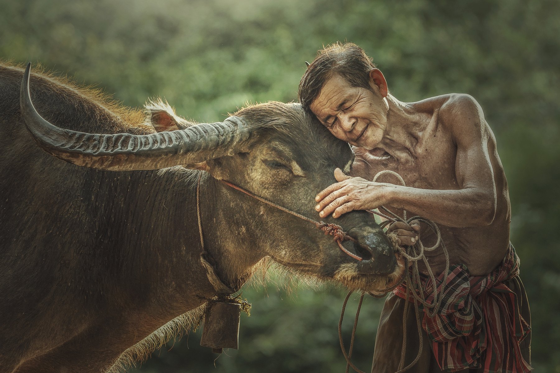 Rural Scene Agriculture Country Road Cultivated Land Farmer Friendship Horizontal Lifestyles Living Organism Love Male Friendship Occupation Outdoors Pets Photography Professional Occupation Thai Culture Thailand Tradition beautiful city clouds green rain, Jakkree Thampitakkull