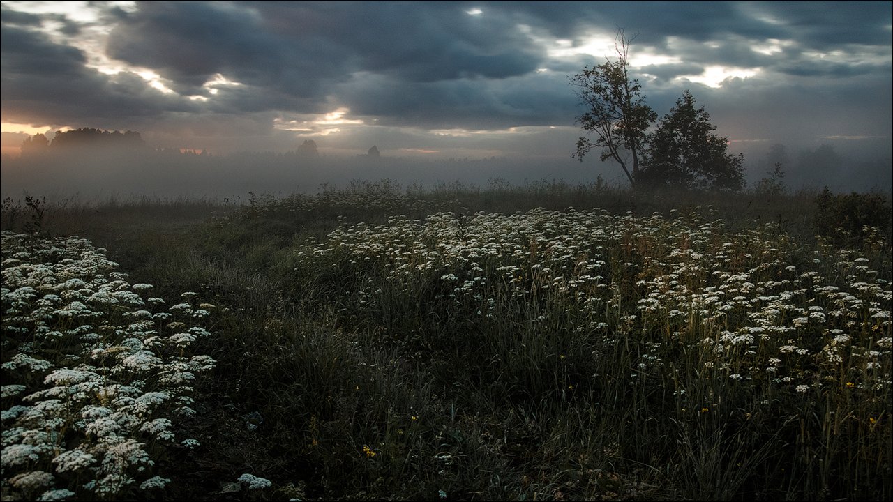 пейзаж, туман, поле, природа, Россия, небо, закат, Алексей Архипов